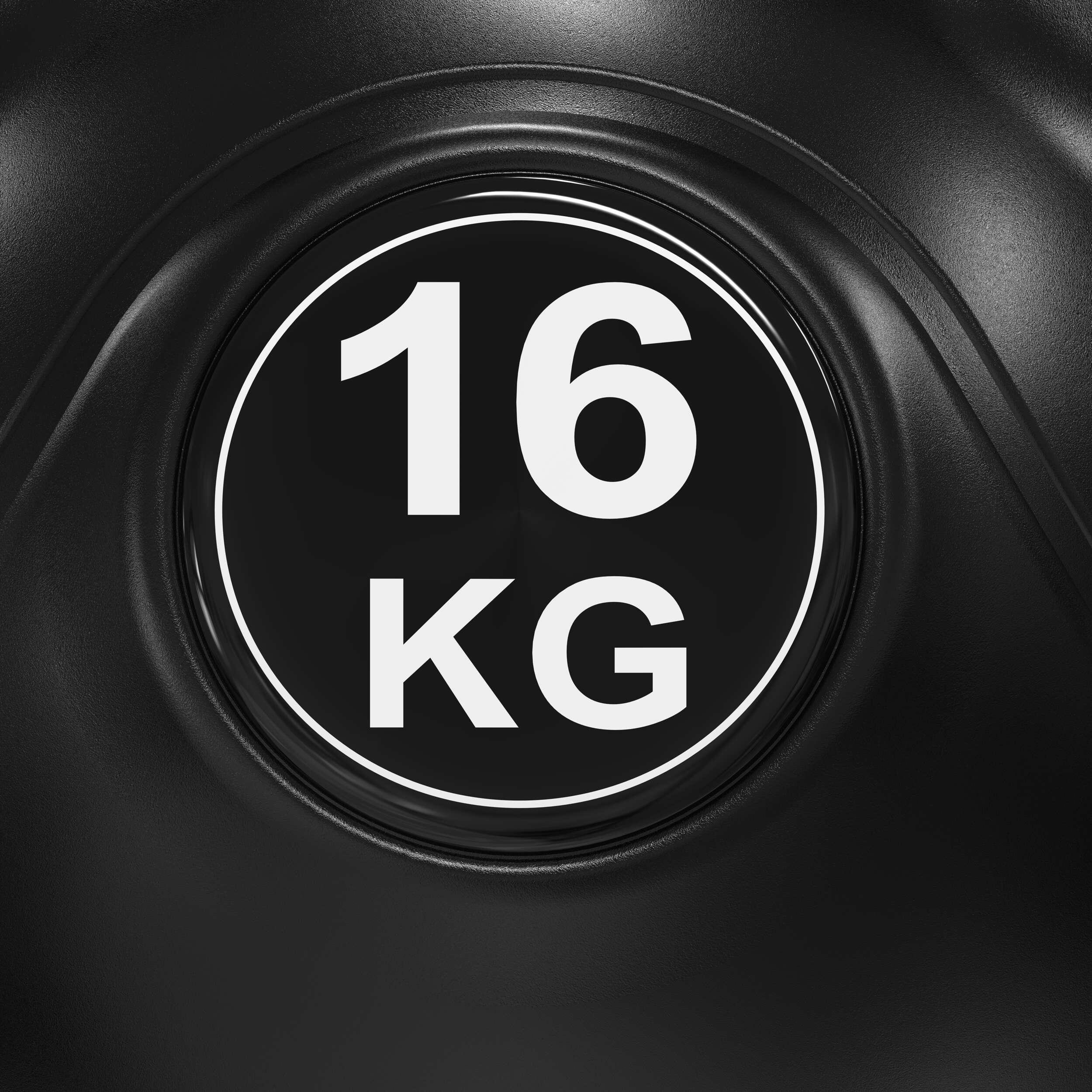 PE Kettlebell 16kg 6/8