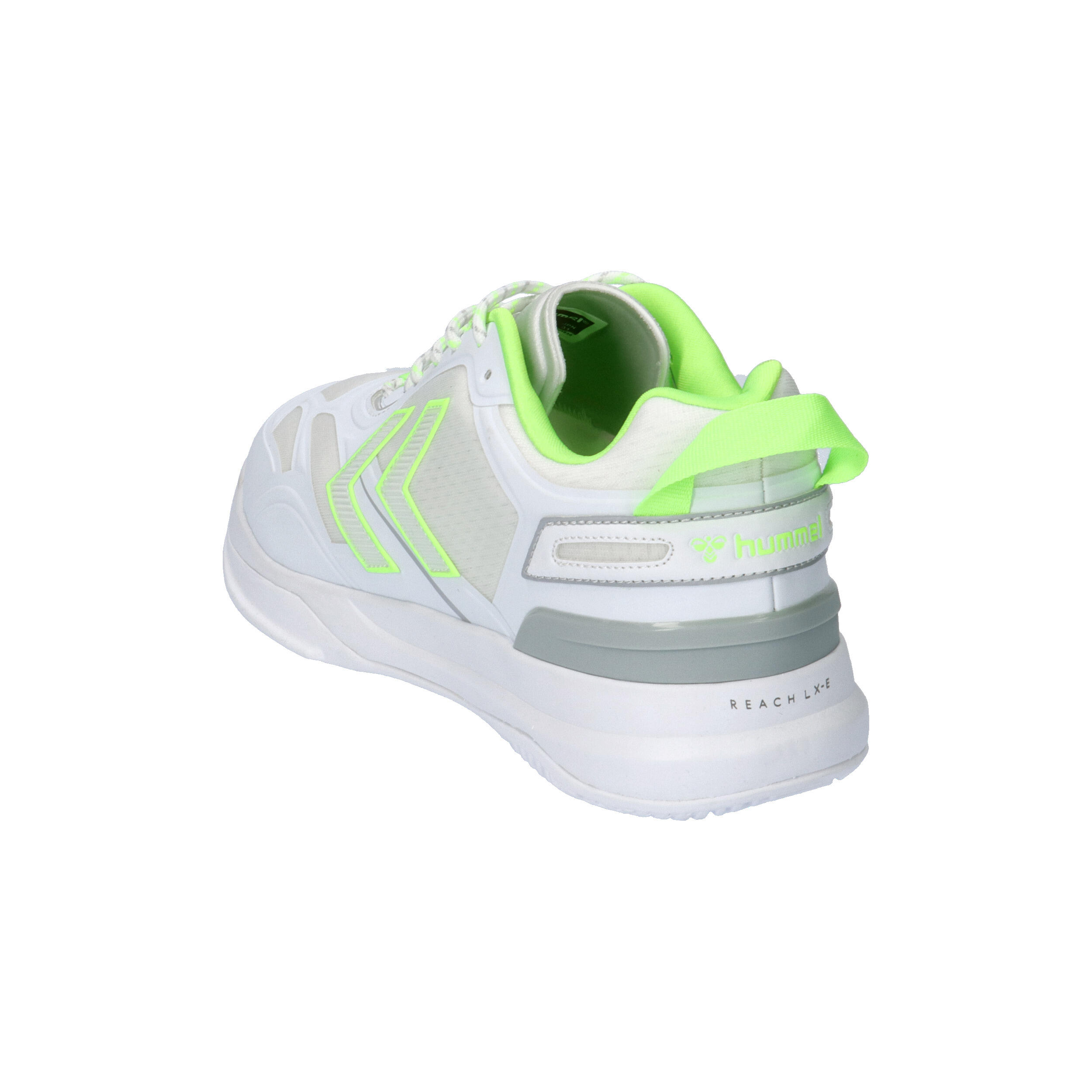 Instap Trainingsschoen Dagaz 2.0 Training Unisex Volwassene 12/15