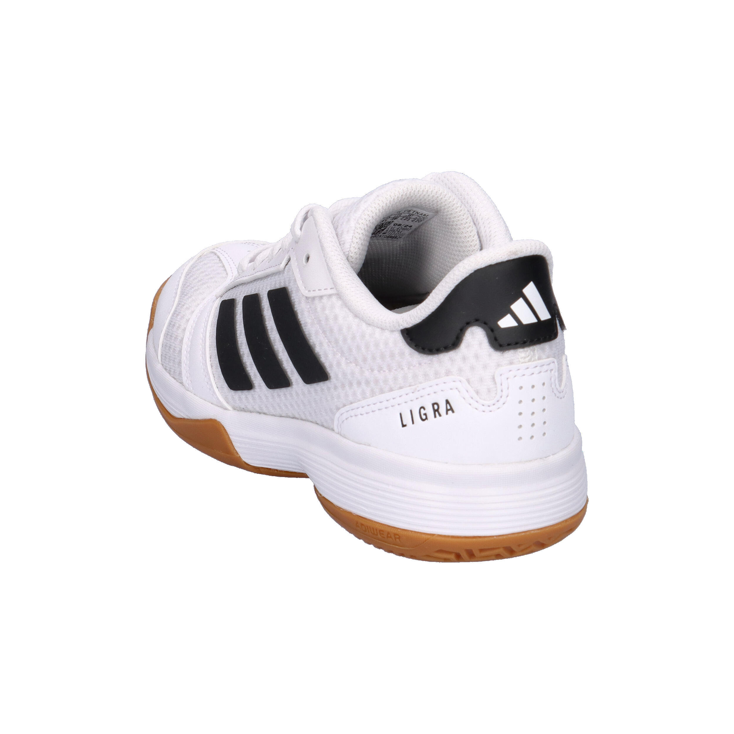 Ligra 8 Indoor Schoenen Kids 12/16