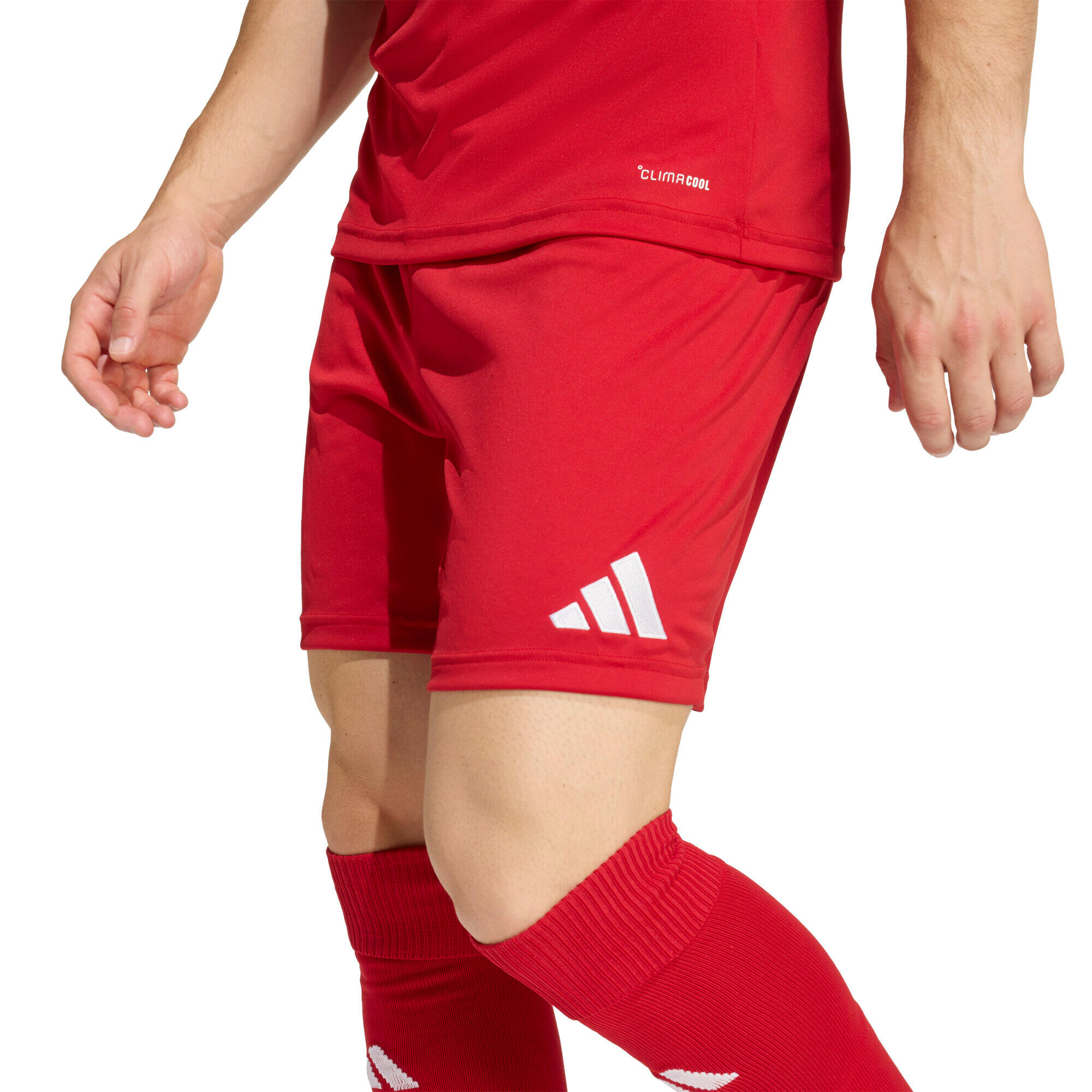 Short Entrada26 10/12