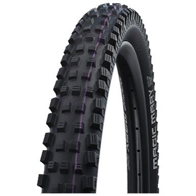 SCHWALBE picture