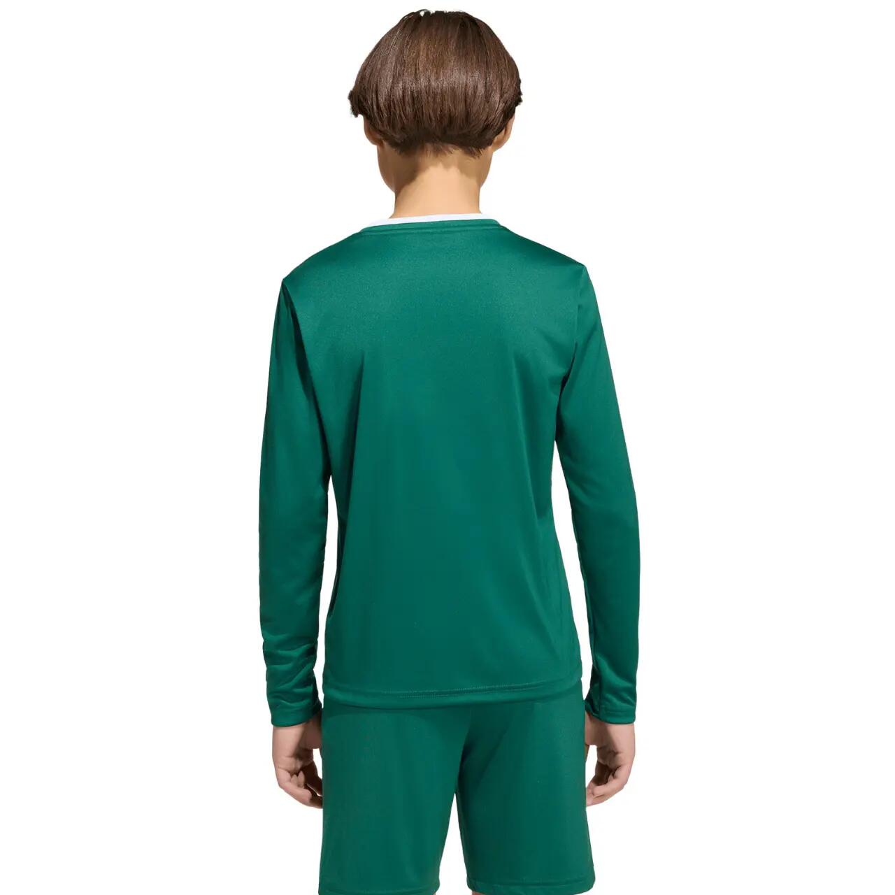 adidas Kinder Langarm Trikot Entrada 26 LS Jersey Y 5/12