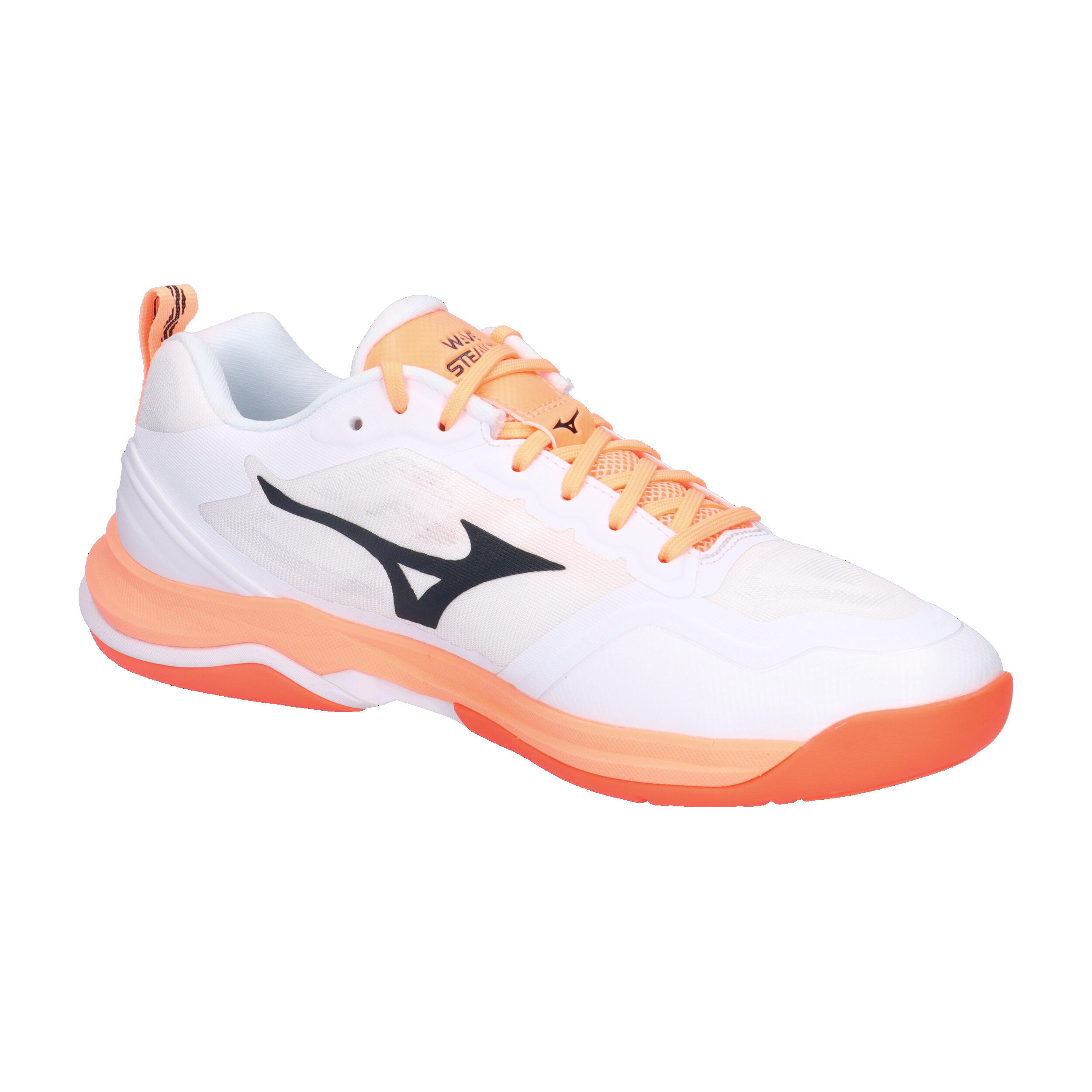 Indoor schoenen Mizuno Wave Stealth Elite 8/15