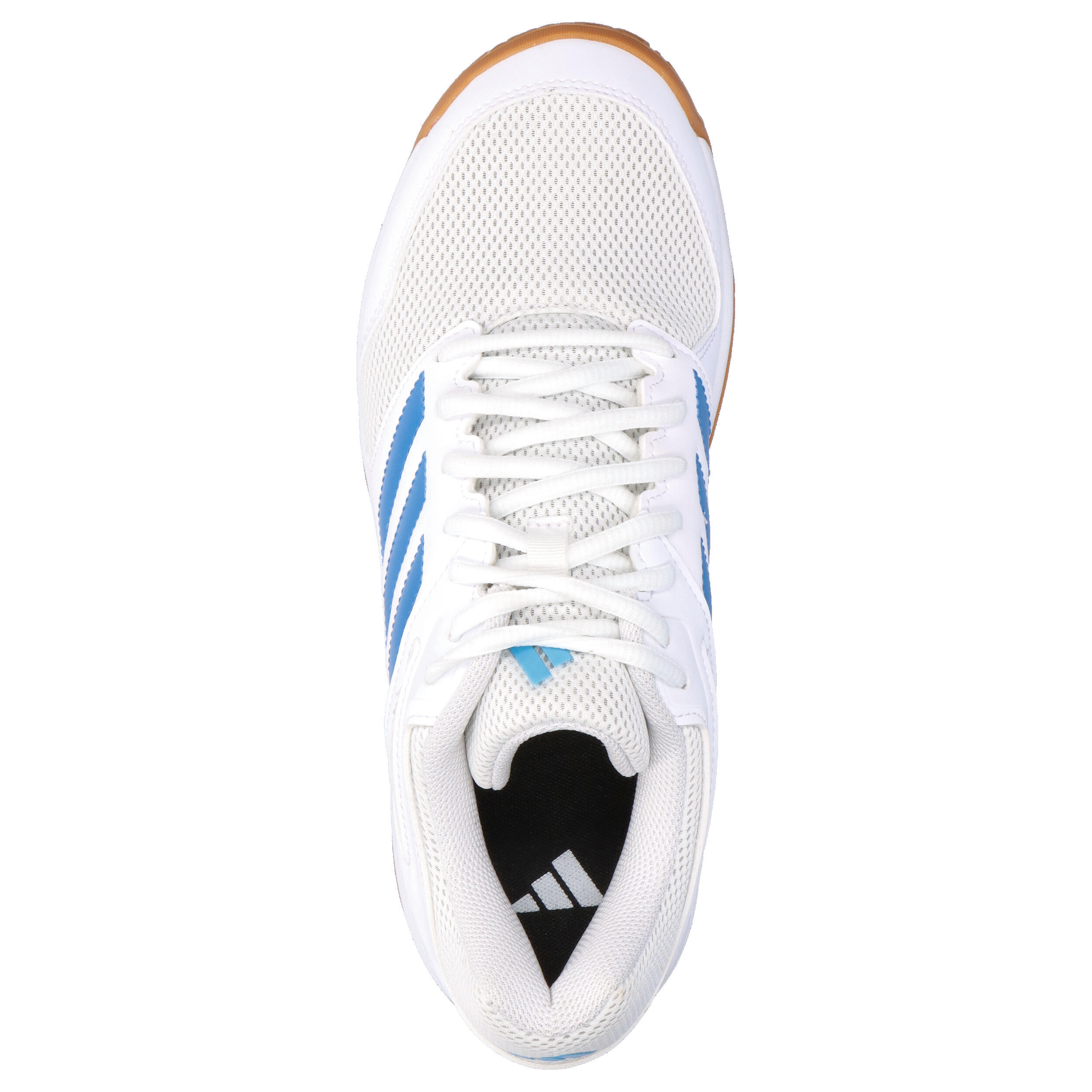 adidas Herren Hallenschuhe Speedcourt M 5/15