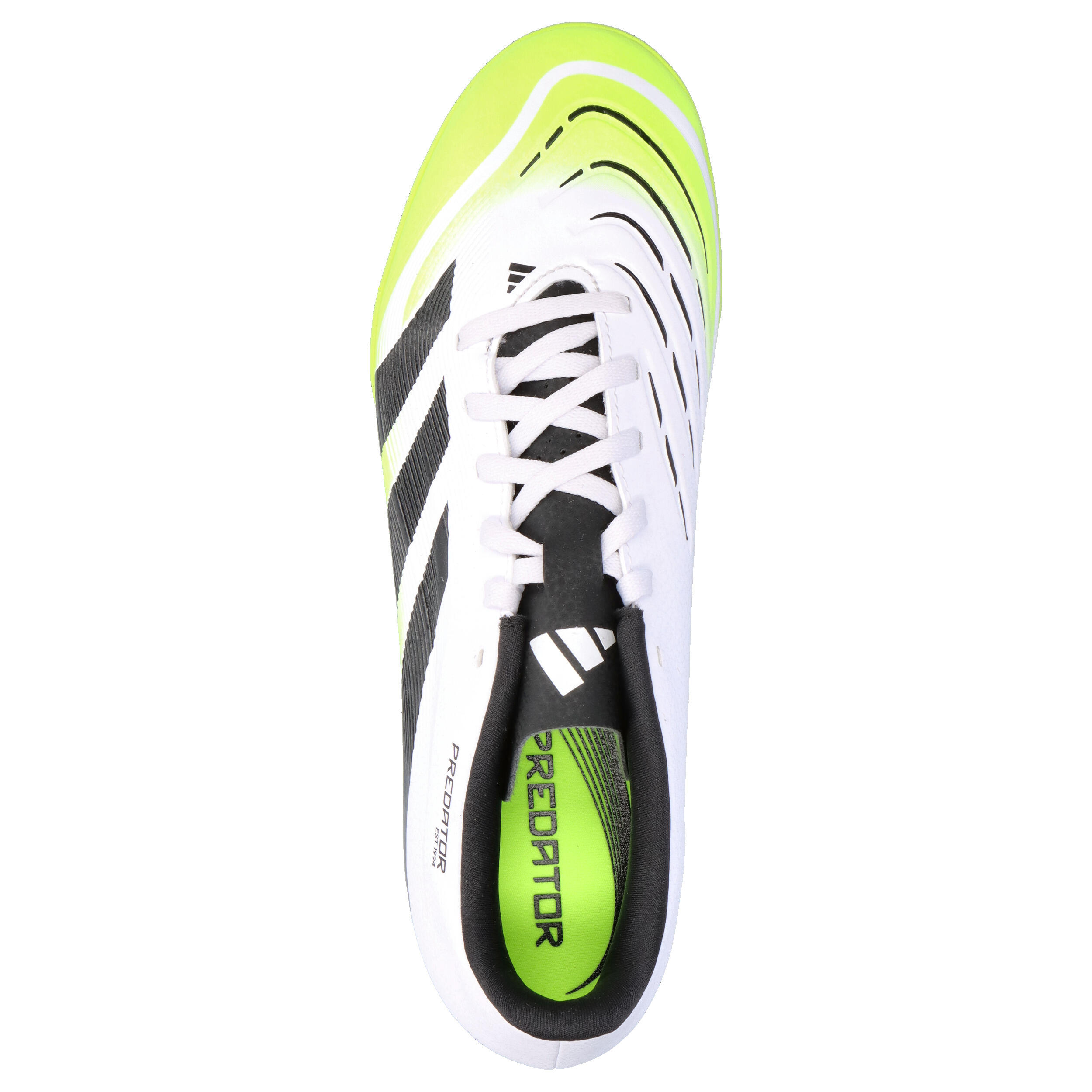 Sapatos De Futebol Adidas Sport Predator Club Adulto 5/15