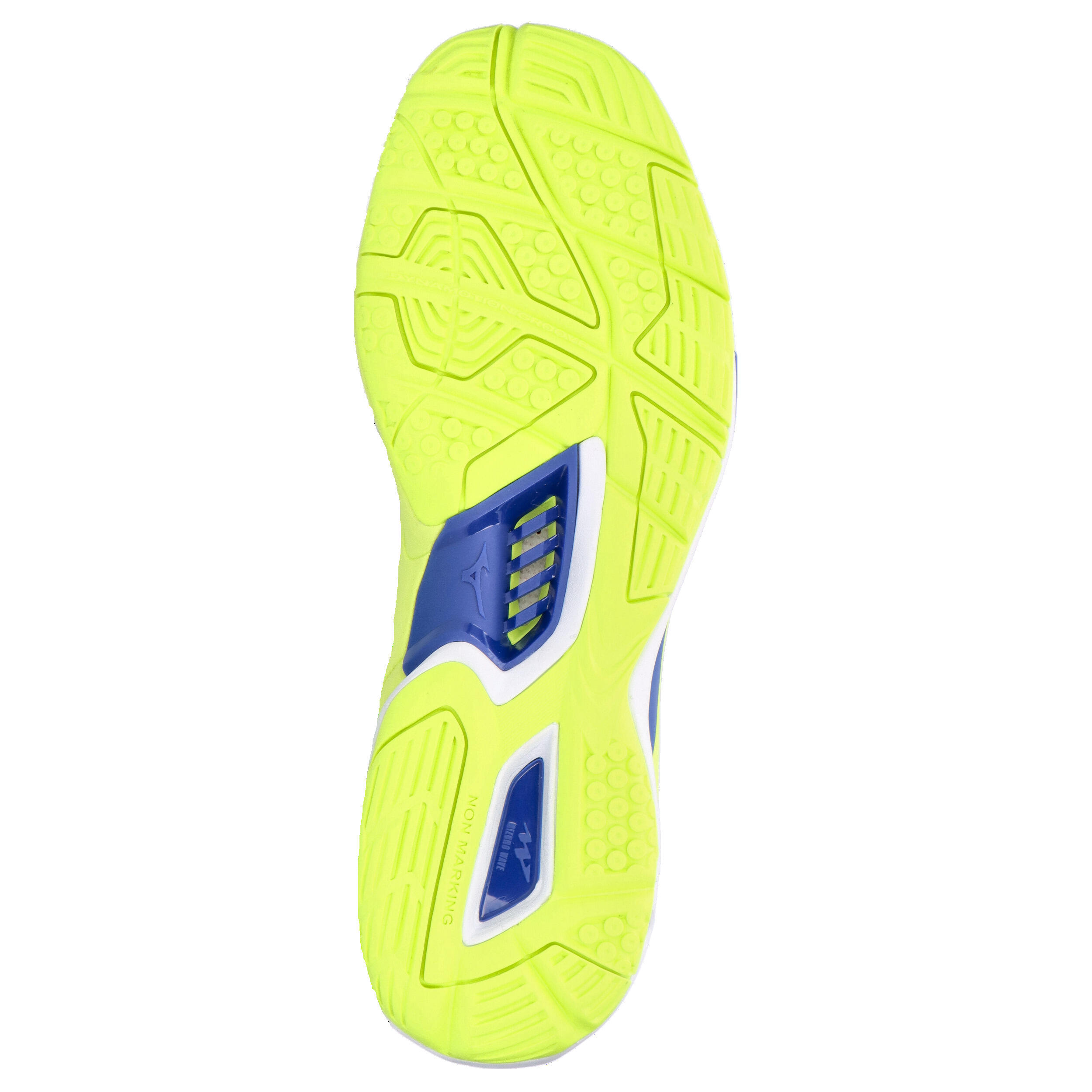 Indoor schoenen Mizuno Wave Stealth 5/15