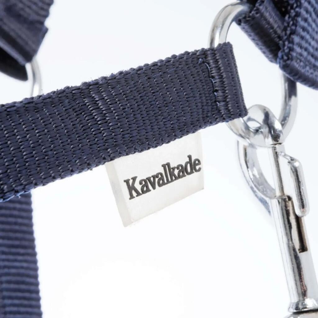 Halter for horses in two different sizes Kavalkade Shorty