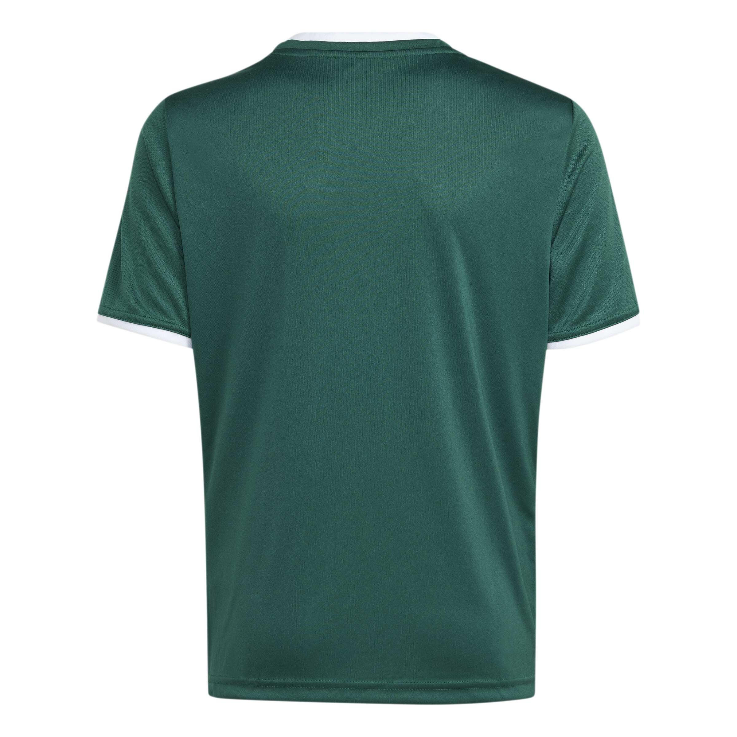 adidas Kinder Trikot Entrada 26 Jersey Y 2/11