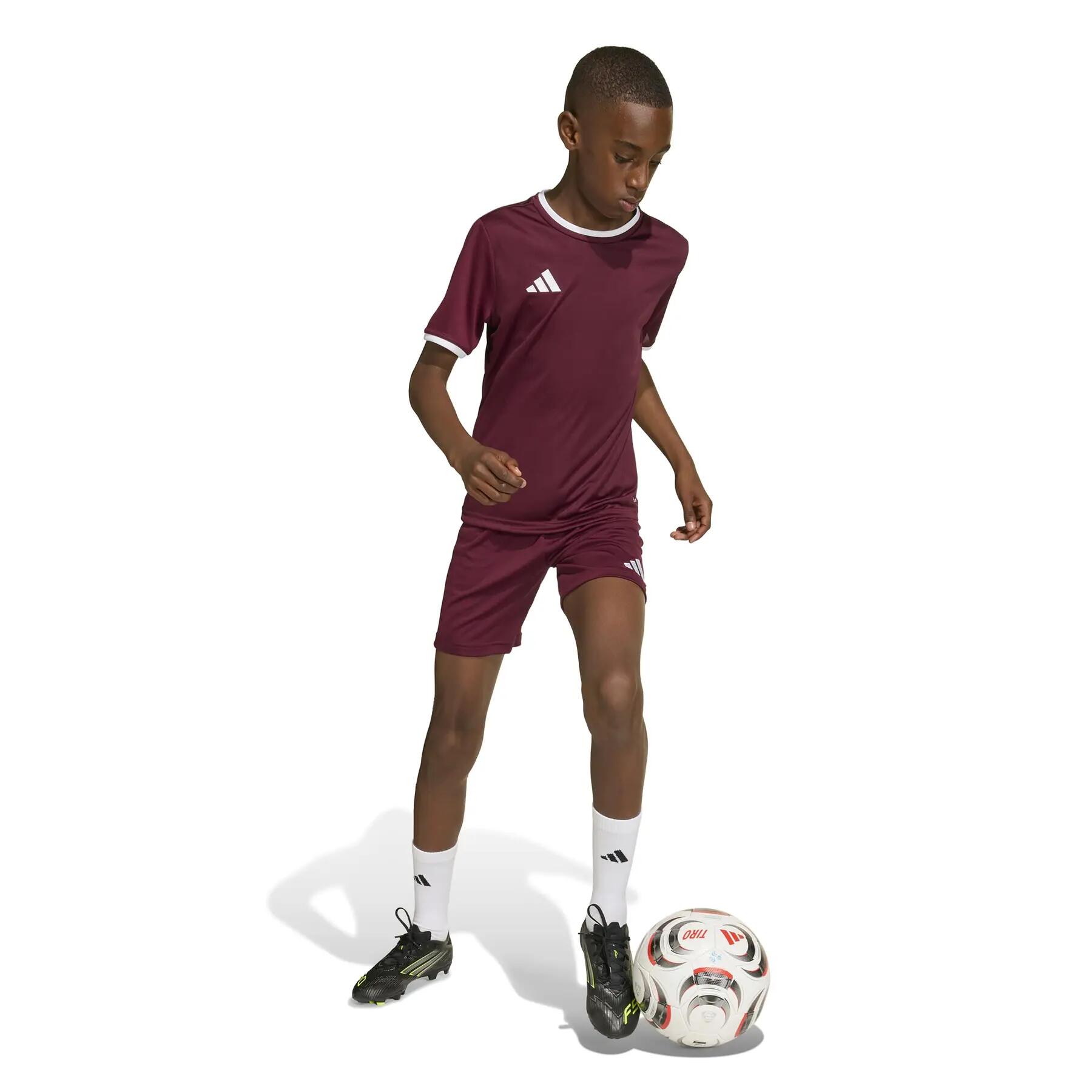 adidas Kinder Trikot Entrada 26 Jersey Y 5/12