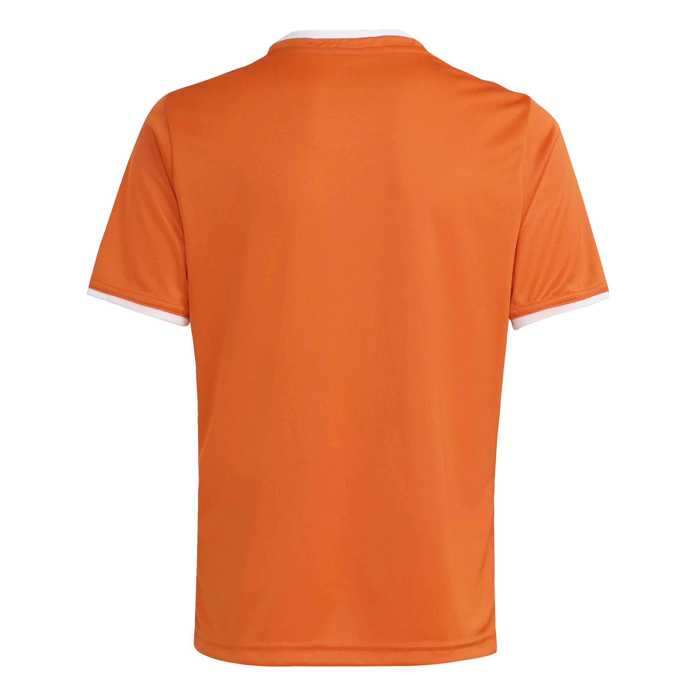 adidas Kinder Trikot Entrada 26 Jersey Y 3/12