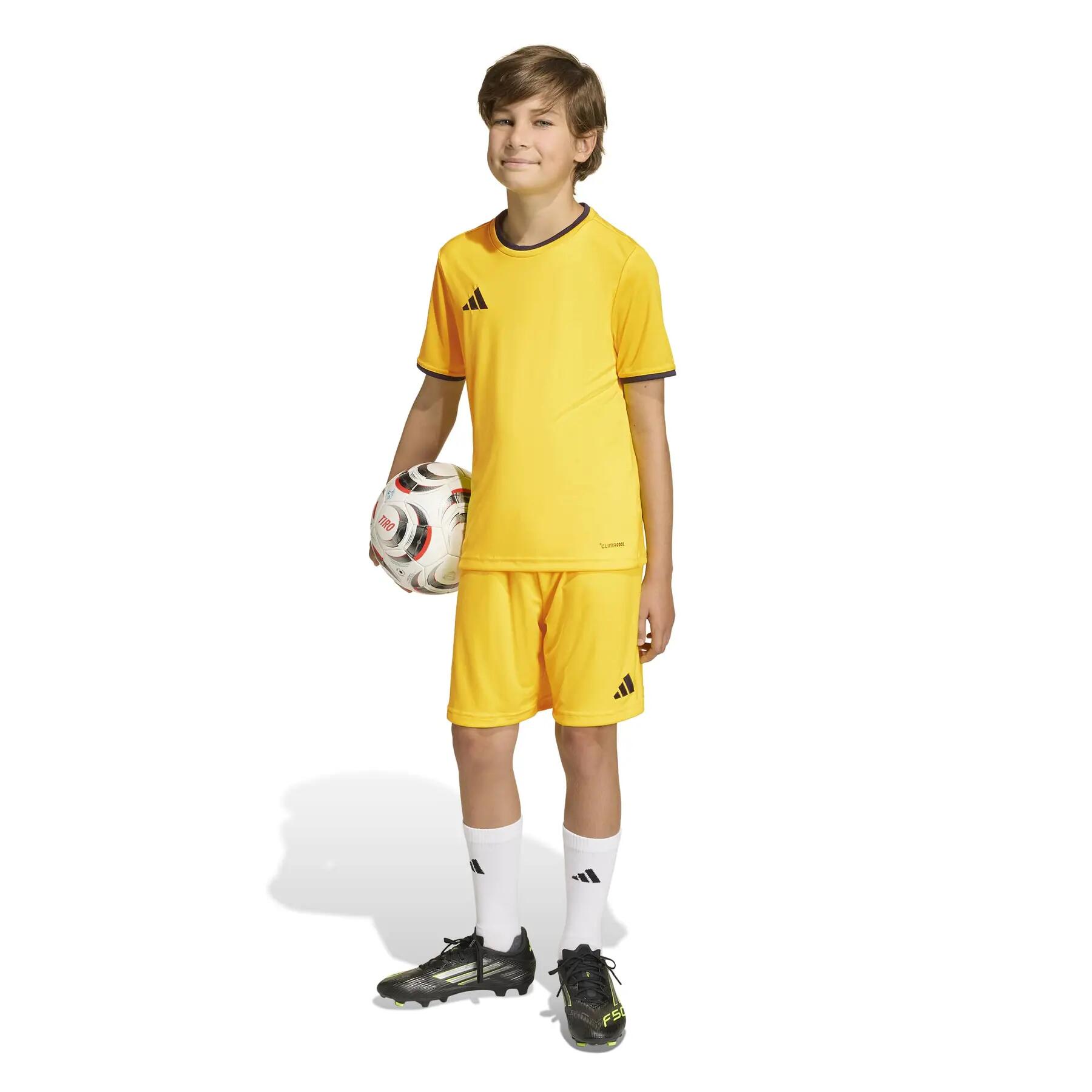 Camisola para criança adidas Entrada 26 Jersey 5/12