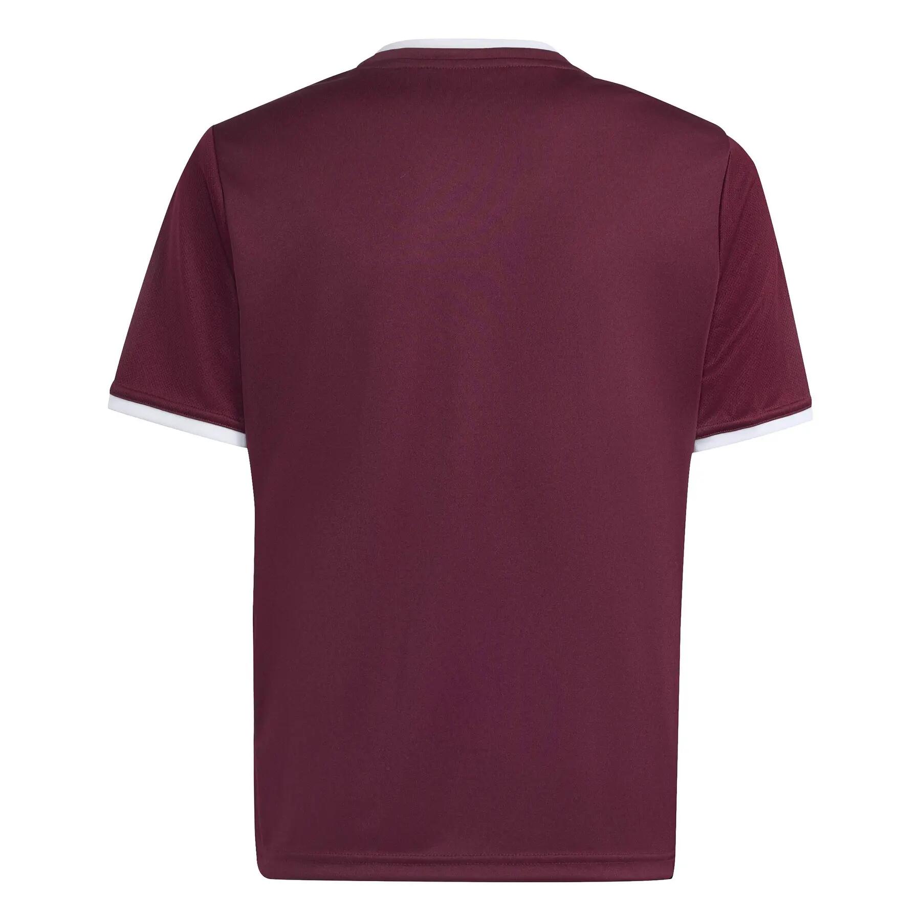 adidas Kinder Trikot Entrada 26 Jersey Y 3/12