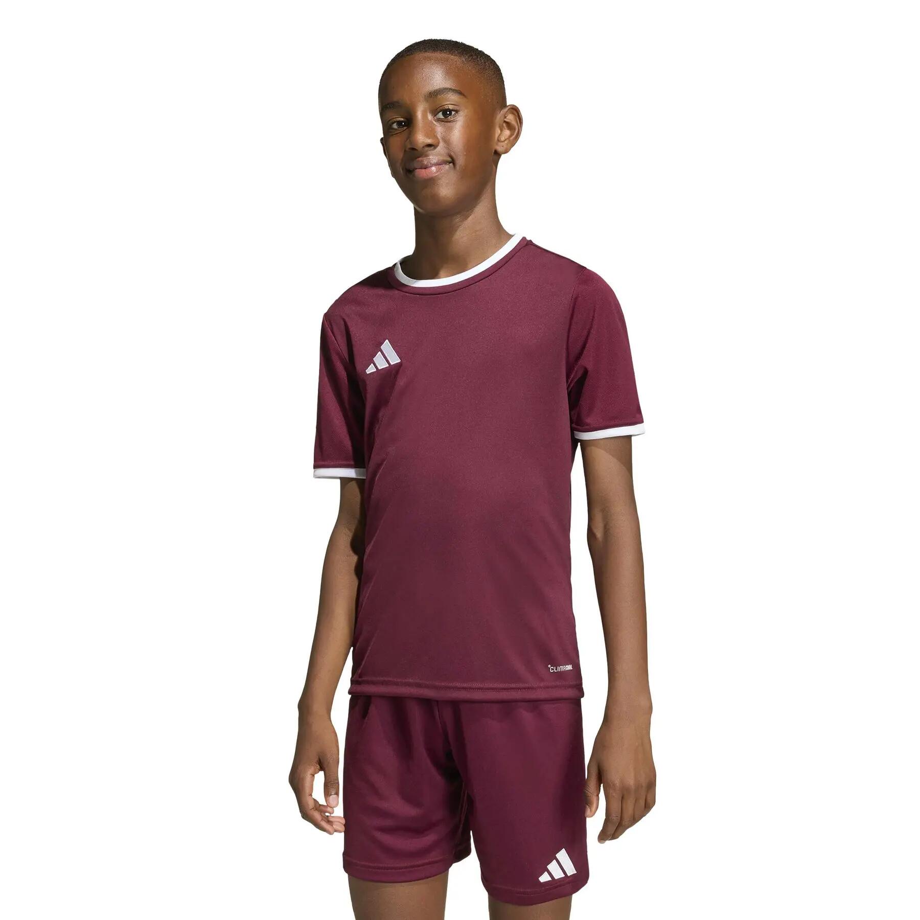 adidas Kinder Trikot Entrada 26 Jersey Y 2/12