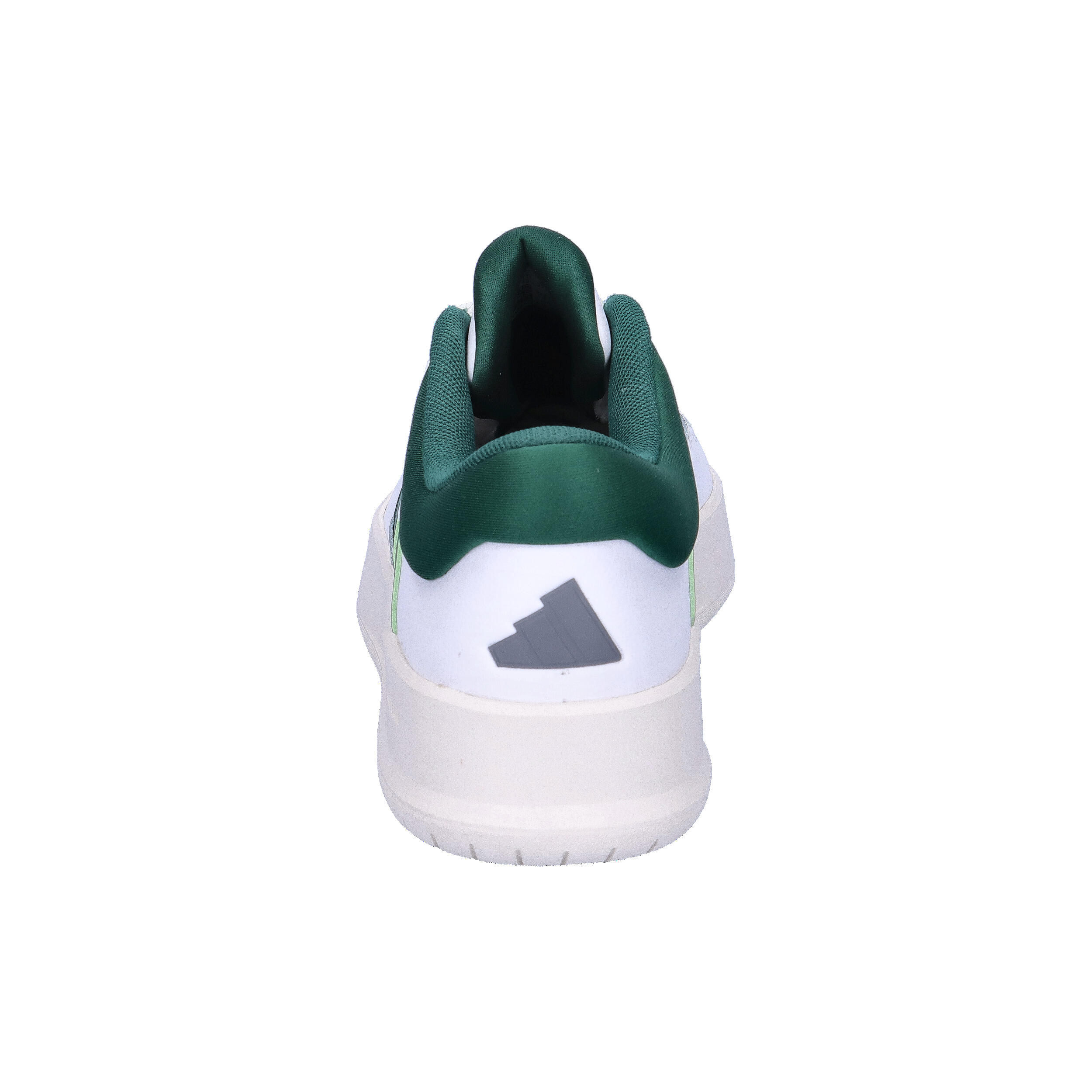 Zapatilla Court 24 13/16