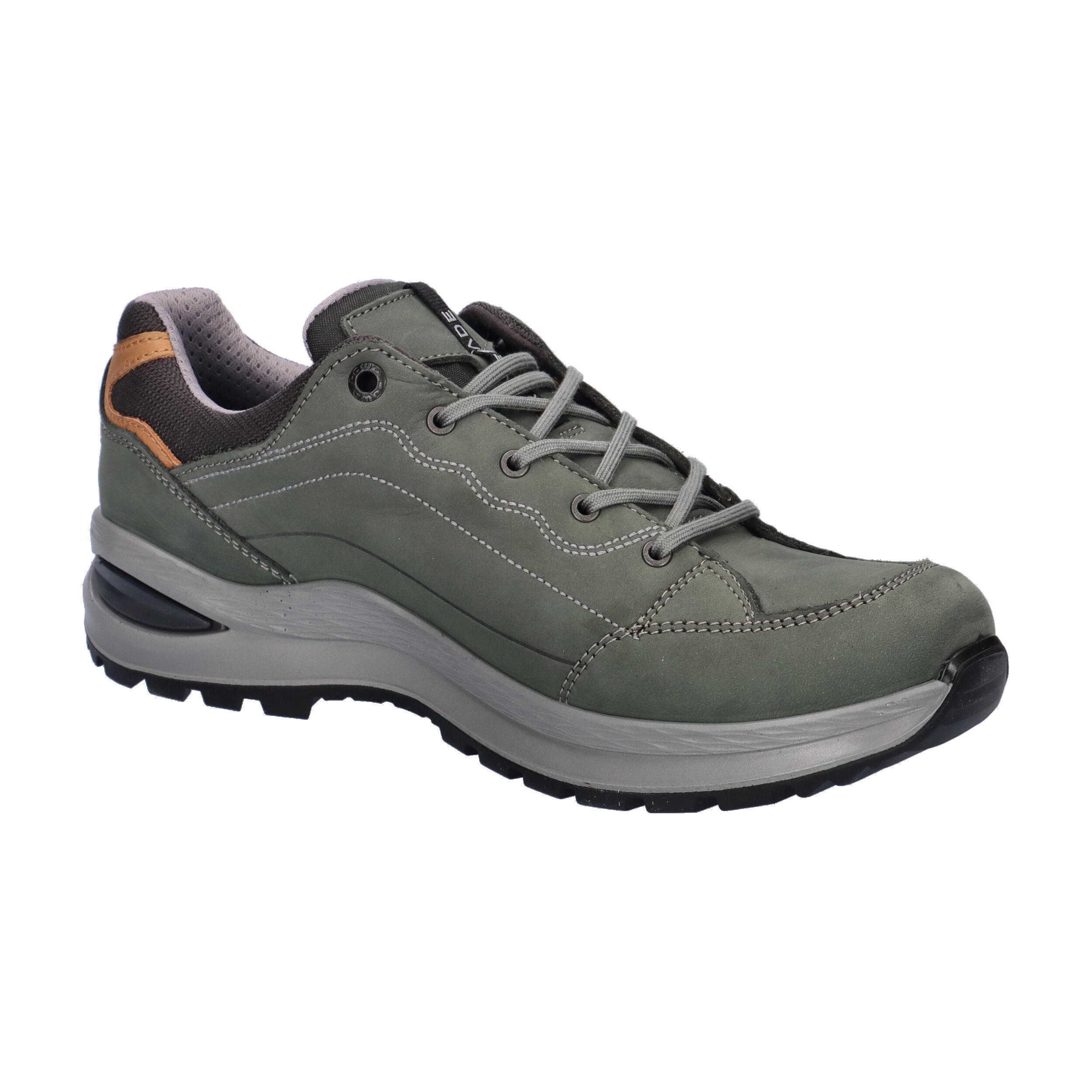 Multifunktionsschuh RENEGADE EVO GTX LO WS 8/15