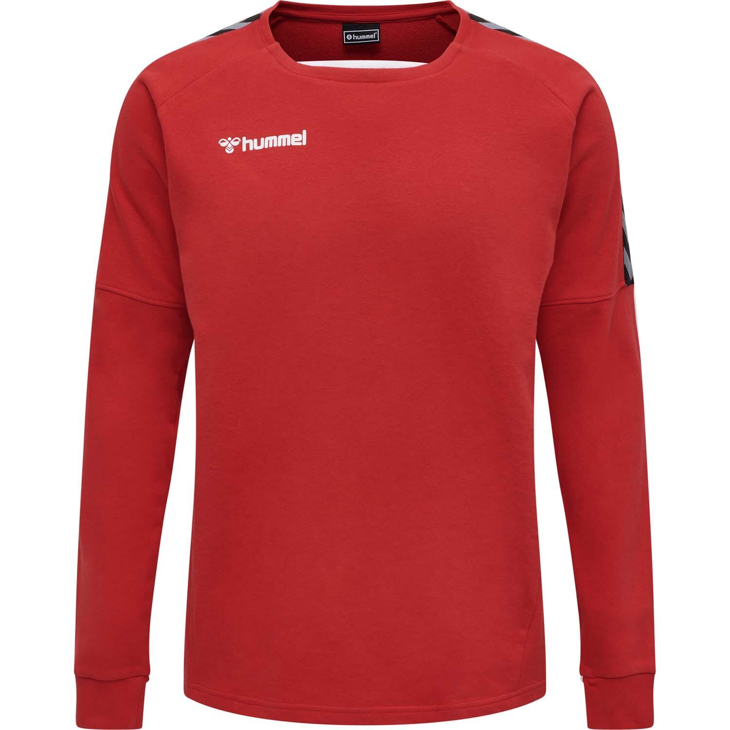 Felpa Hummel hmlAUTHENTIC Training 10/10