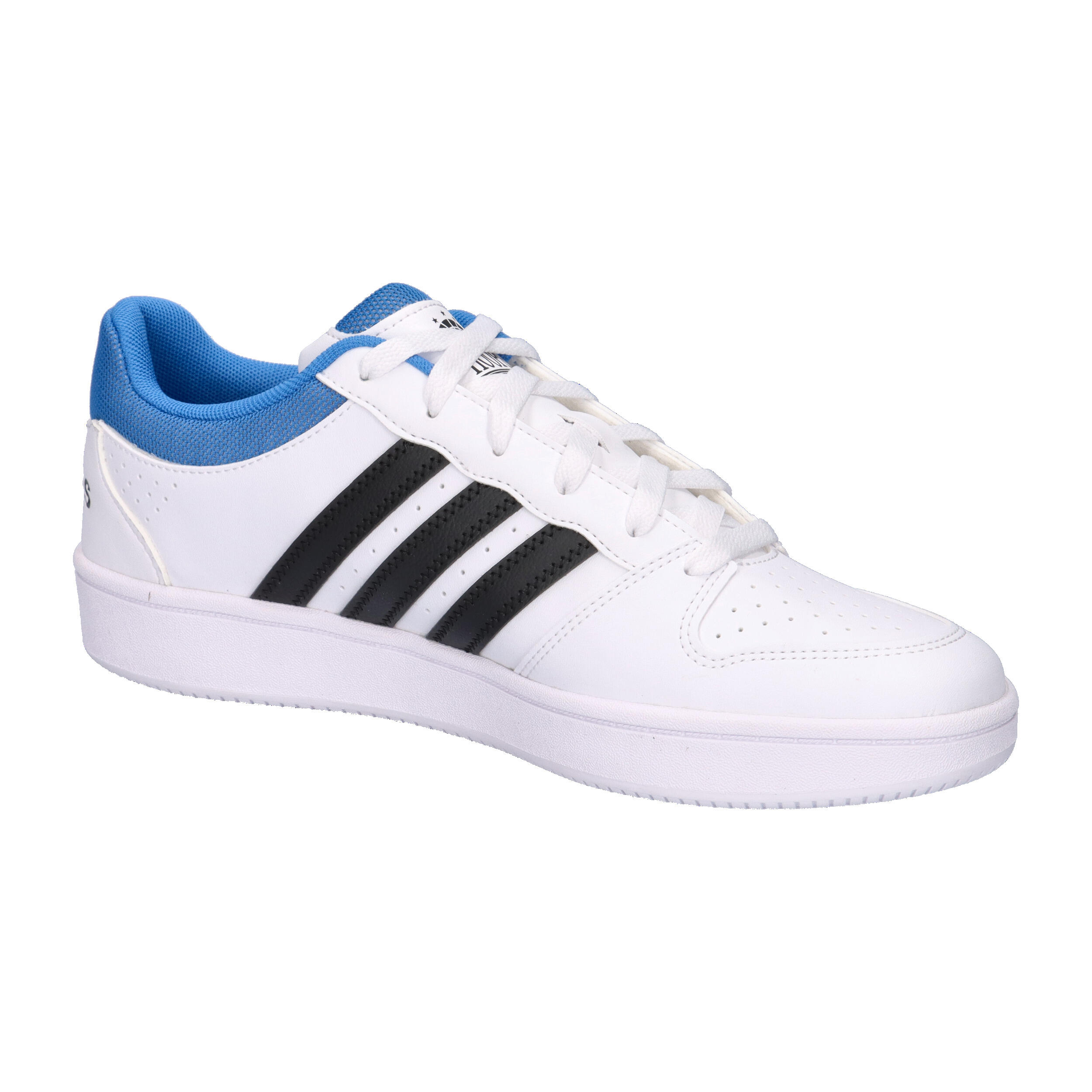 Chaussure HOOPS CLASSIC 8/15