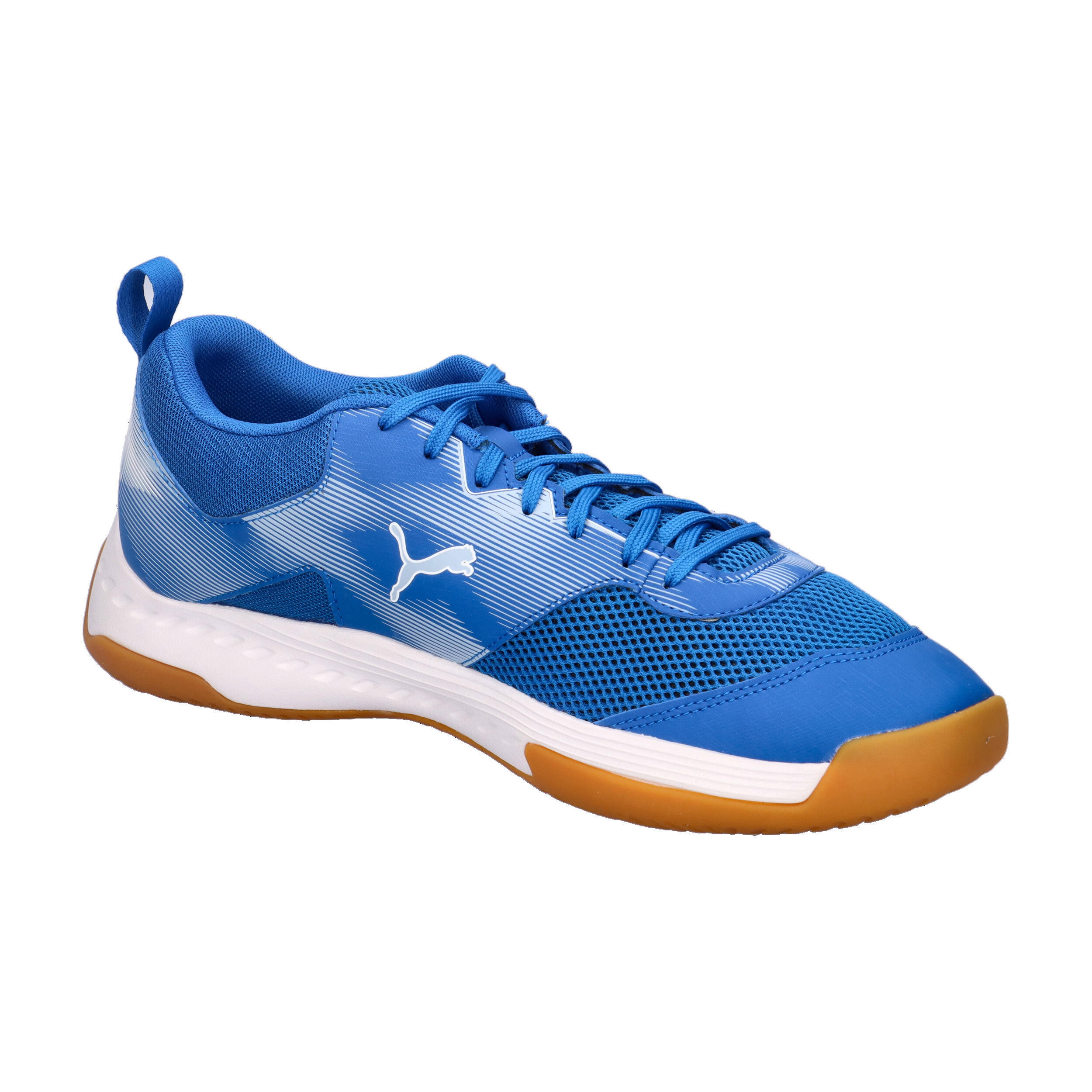 Puma VARION 3 Indoor Unisex Hallenschuhe Sneaker Schnürschuh 109096 03 Blau 8/15