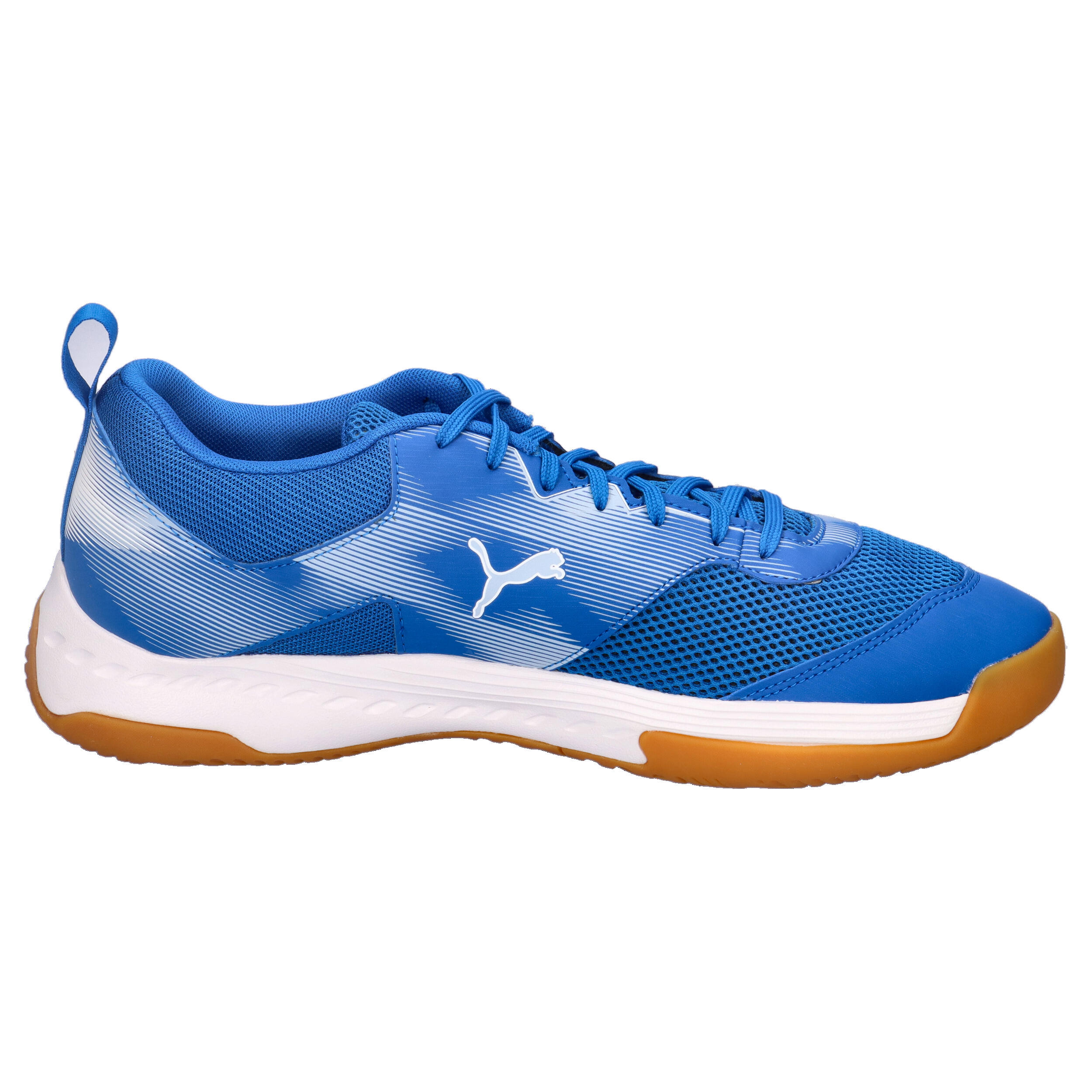 Puma VARION 3 Indoor Unisex Hallenschuhe Sneaker Schnürschuh 109096 03 Blau 7/15