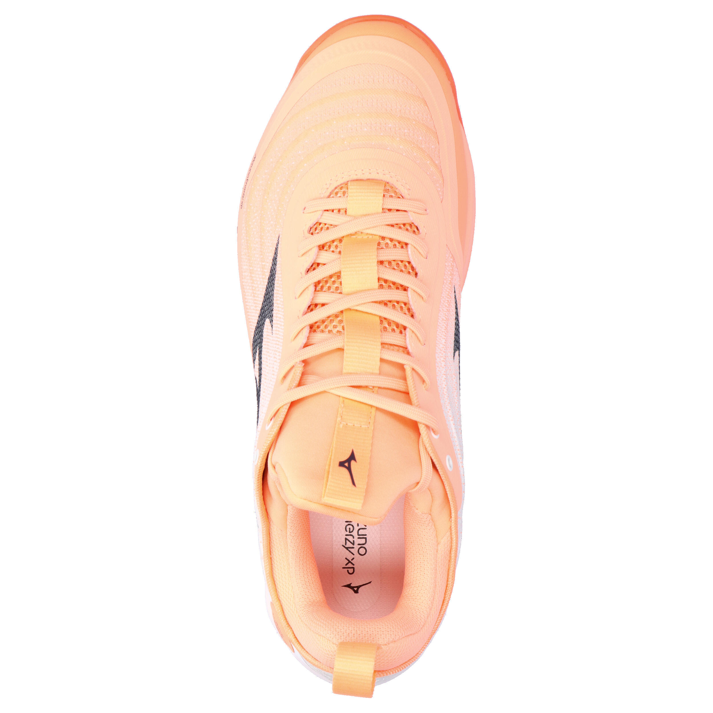 Indoor schoenen Mizuno Wave Luminous Elite 5/15