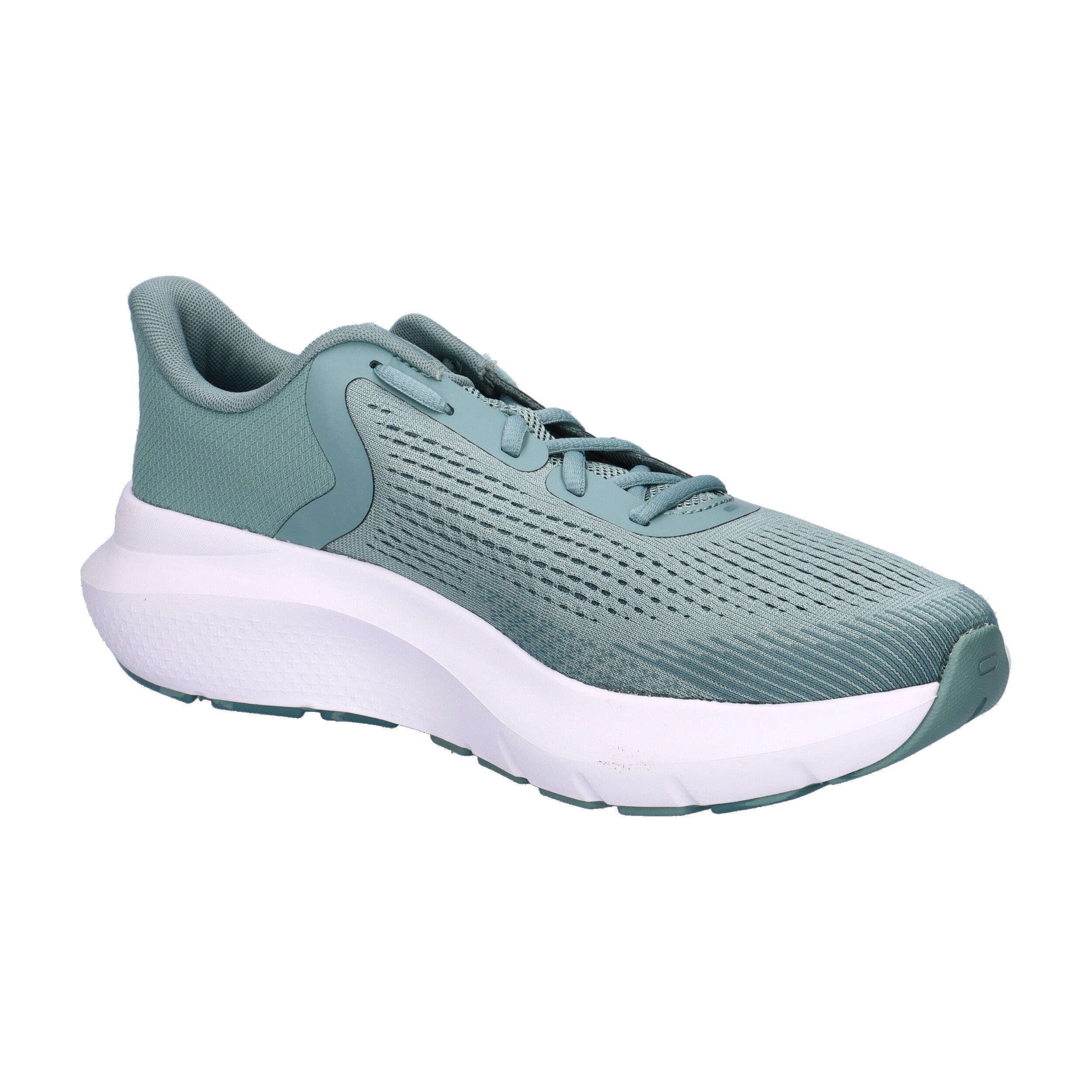 Under Armour Herren Laufschuhe UA Charged Rogue 5 3028256 8/15