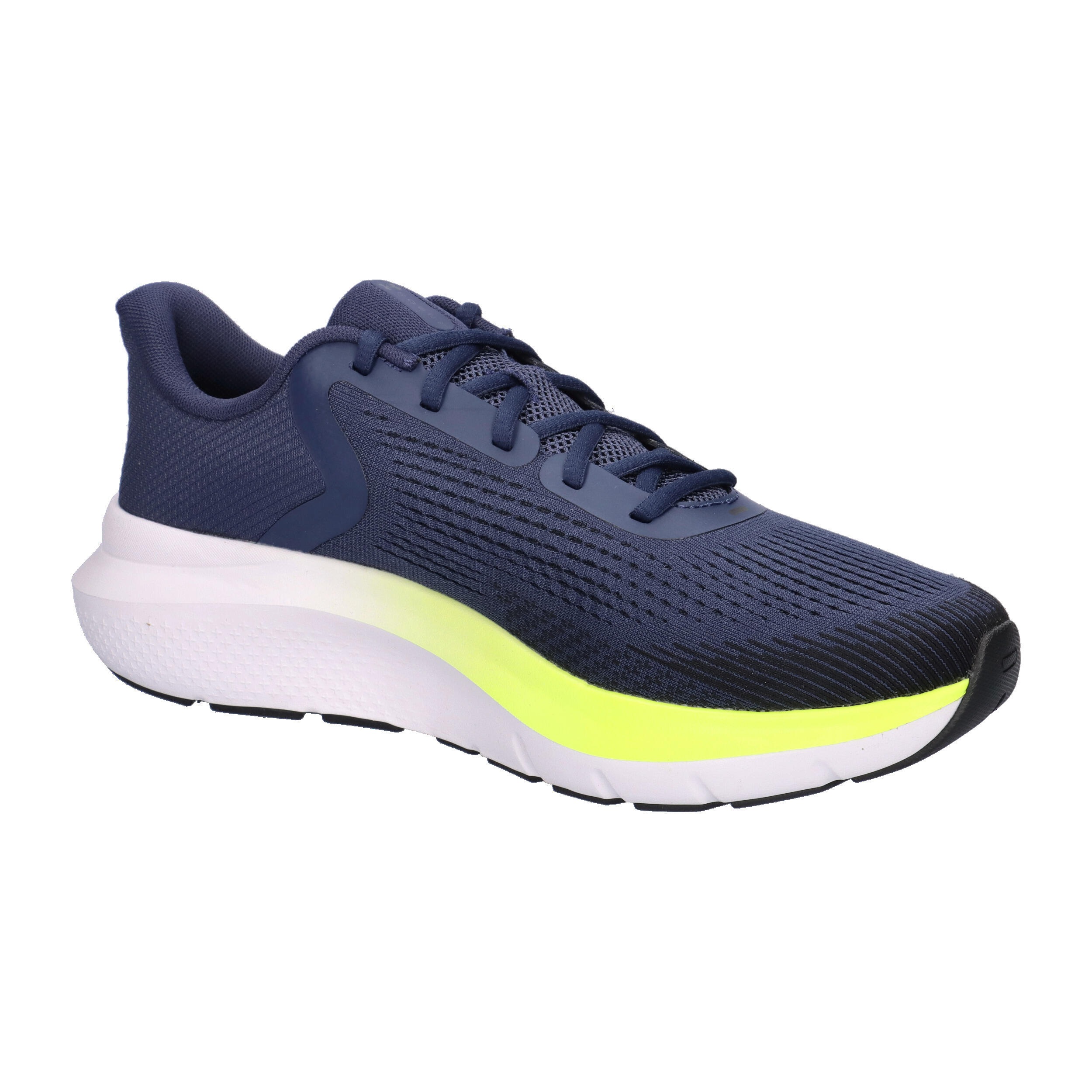 Under Armour Herren Laufschuhe UA Charged Rogue 5 3028256 8/15