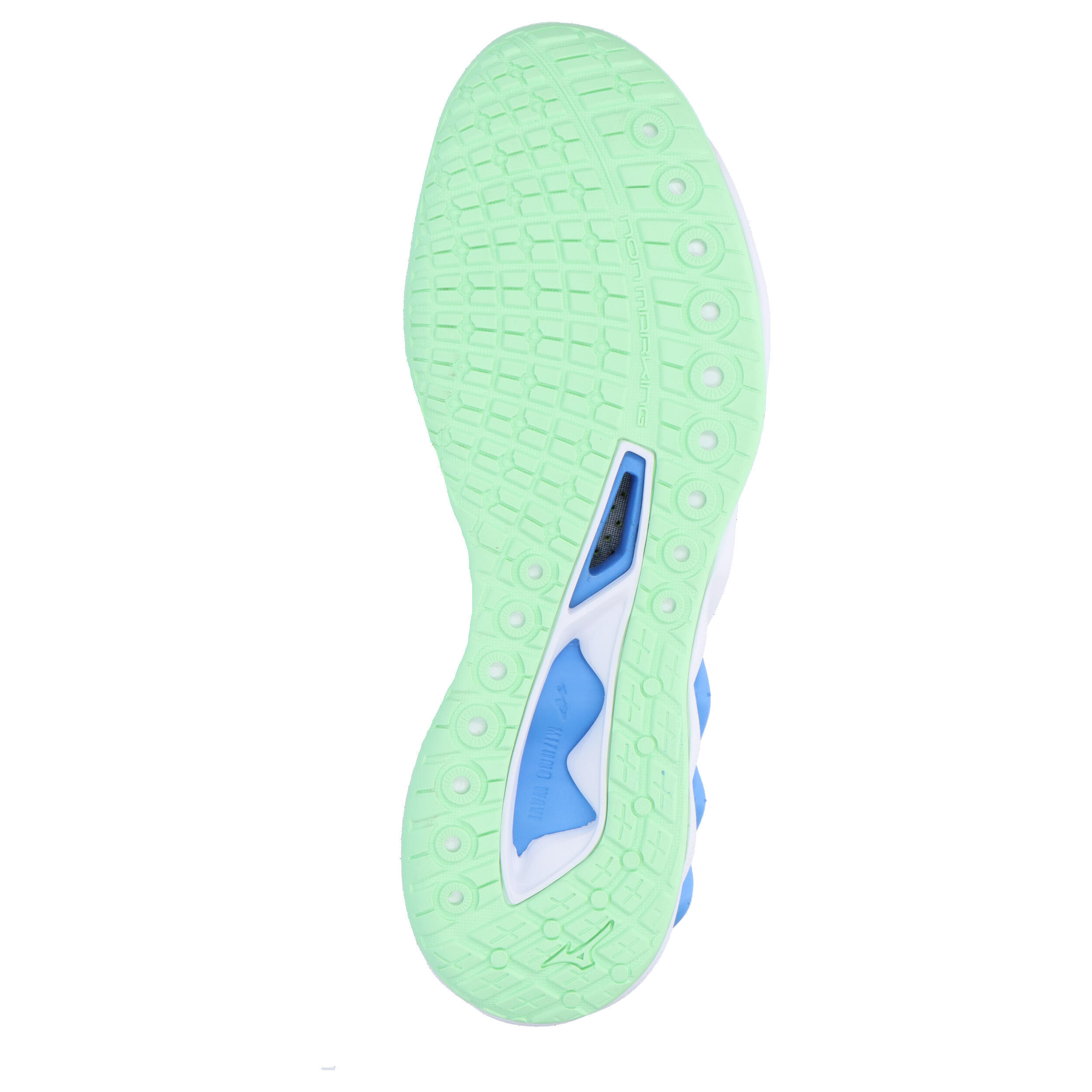 Indoor schoenen Mizuno Wave Luminous 6/15