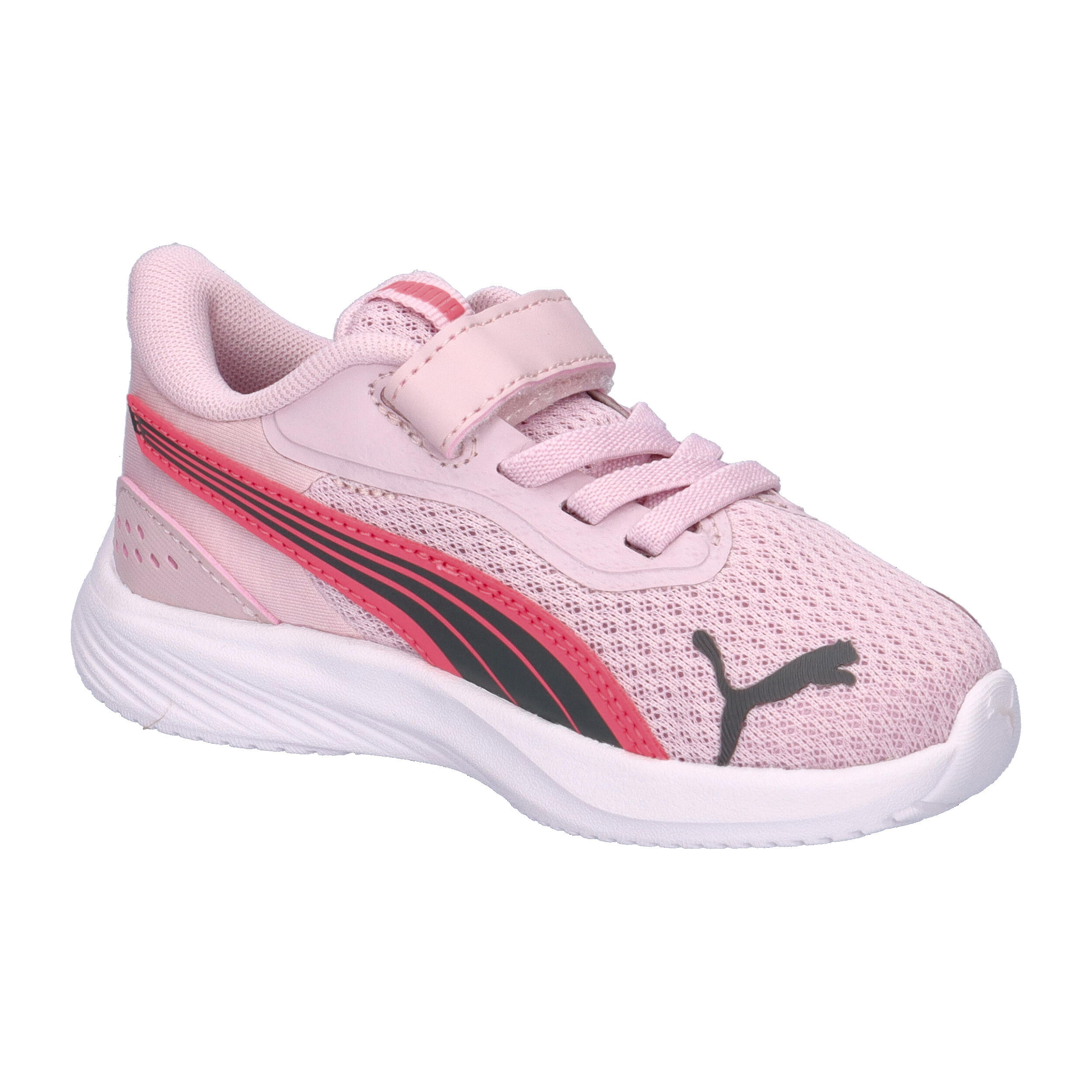 Babytrainers Puma Pounce AC+ 8/15