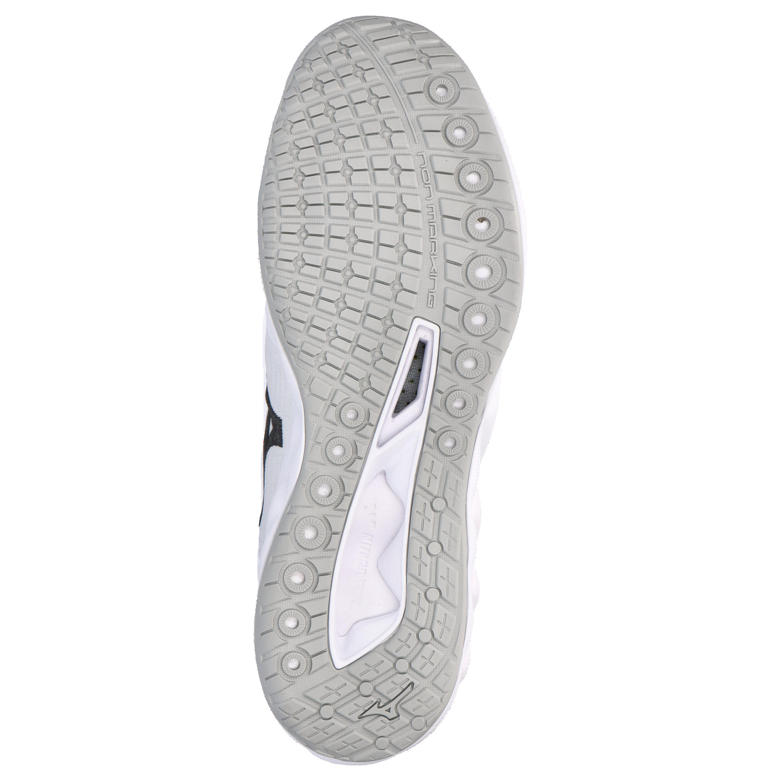 Indoor schoenen Mizuno Wave Luminous 6/15
