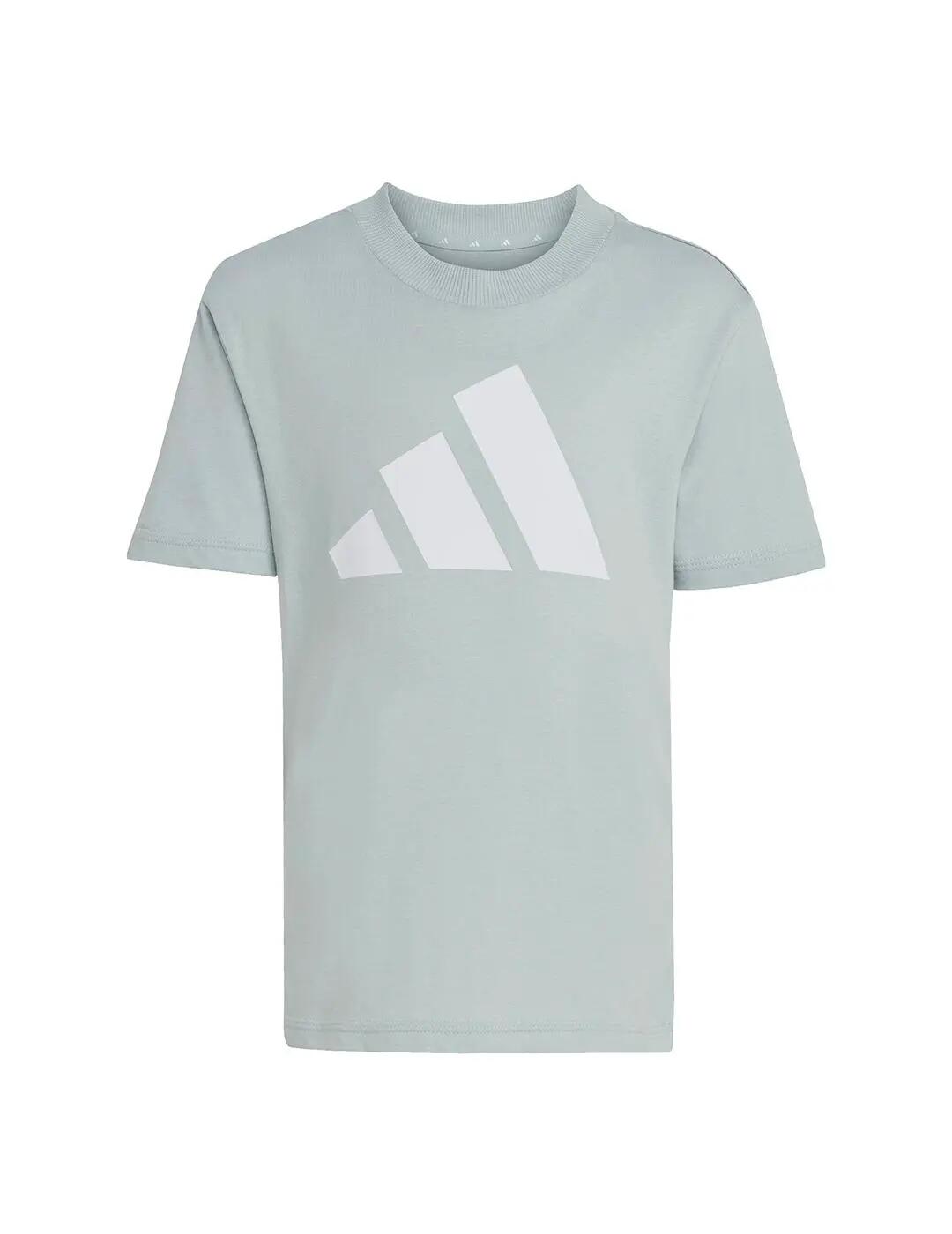 Conjunto para Niño Adidas Essentials Verde 4/13