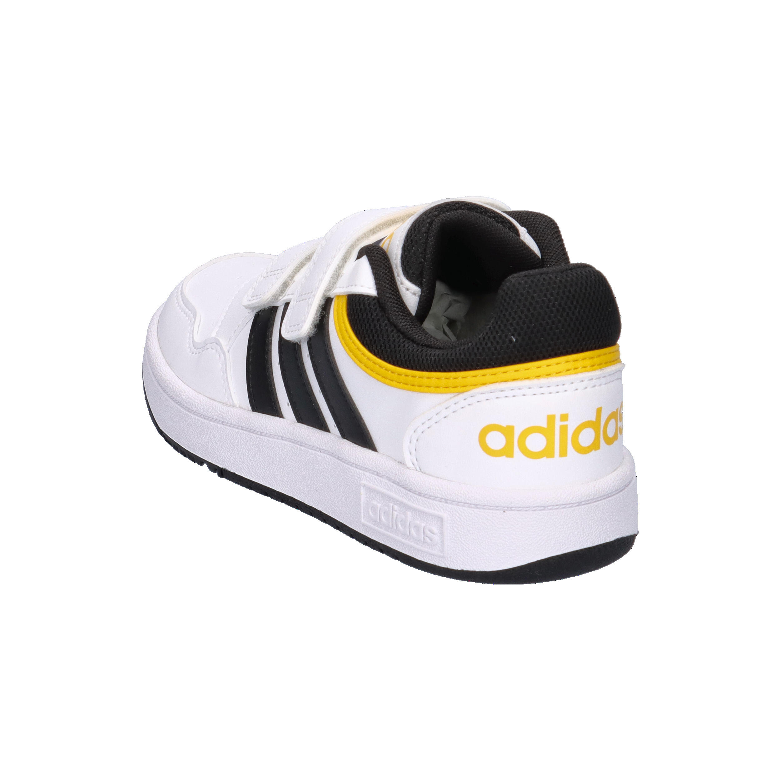 Hoops Shoes 12/15
