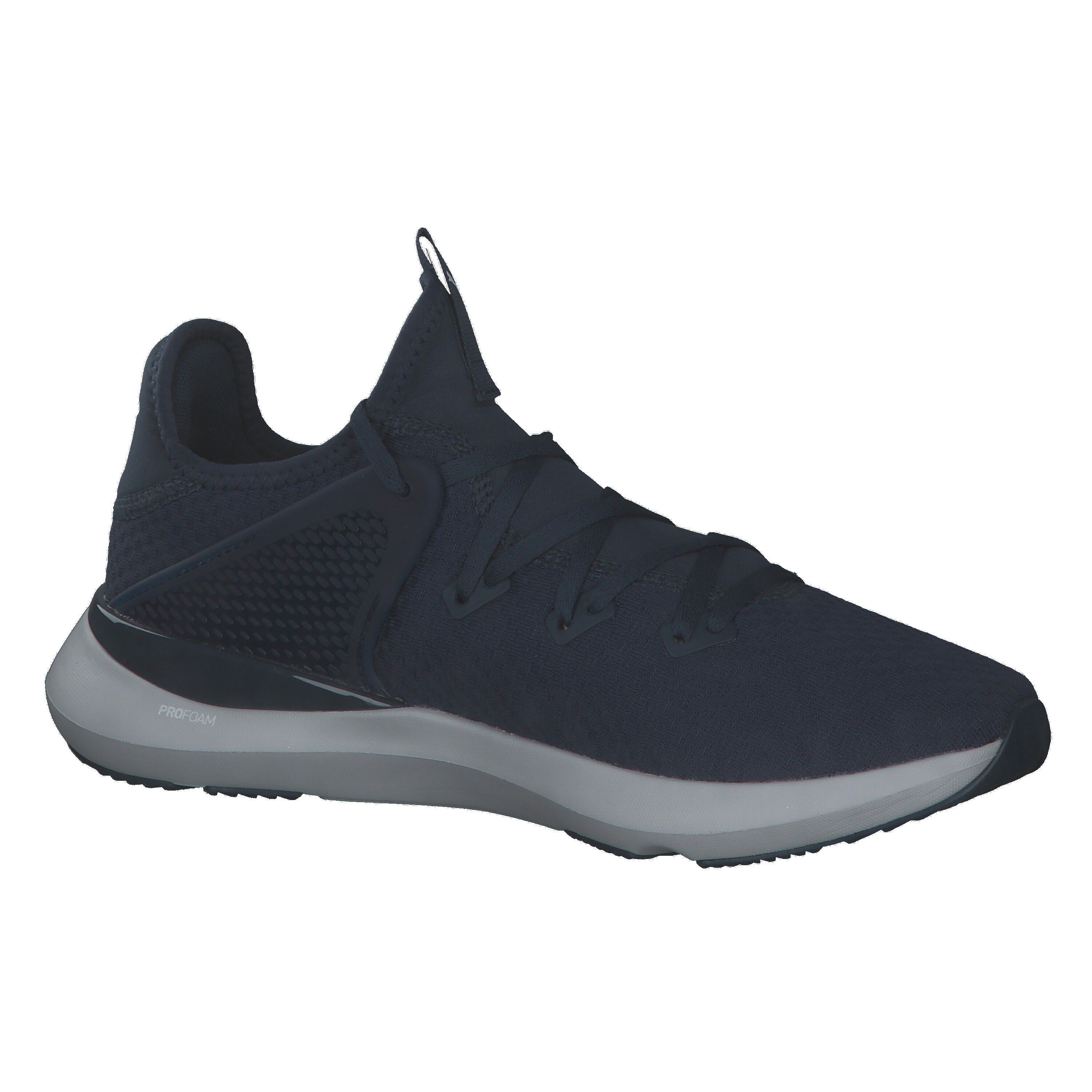 Puma Herren Trainingsschuhe Pure XT Fresh 377276 8/15