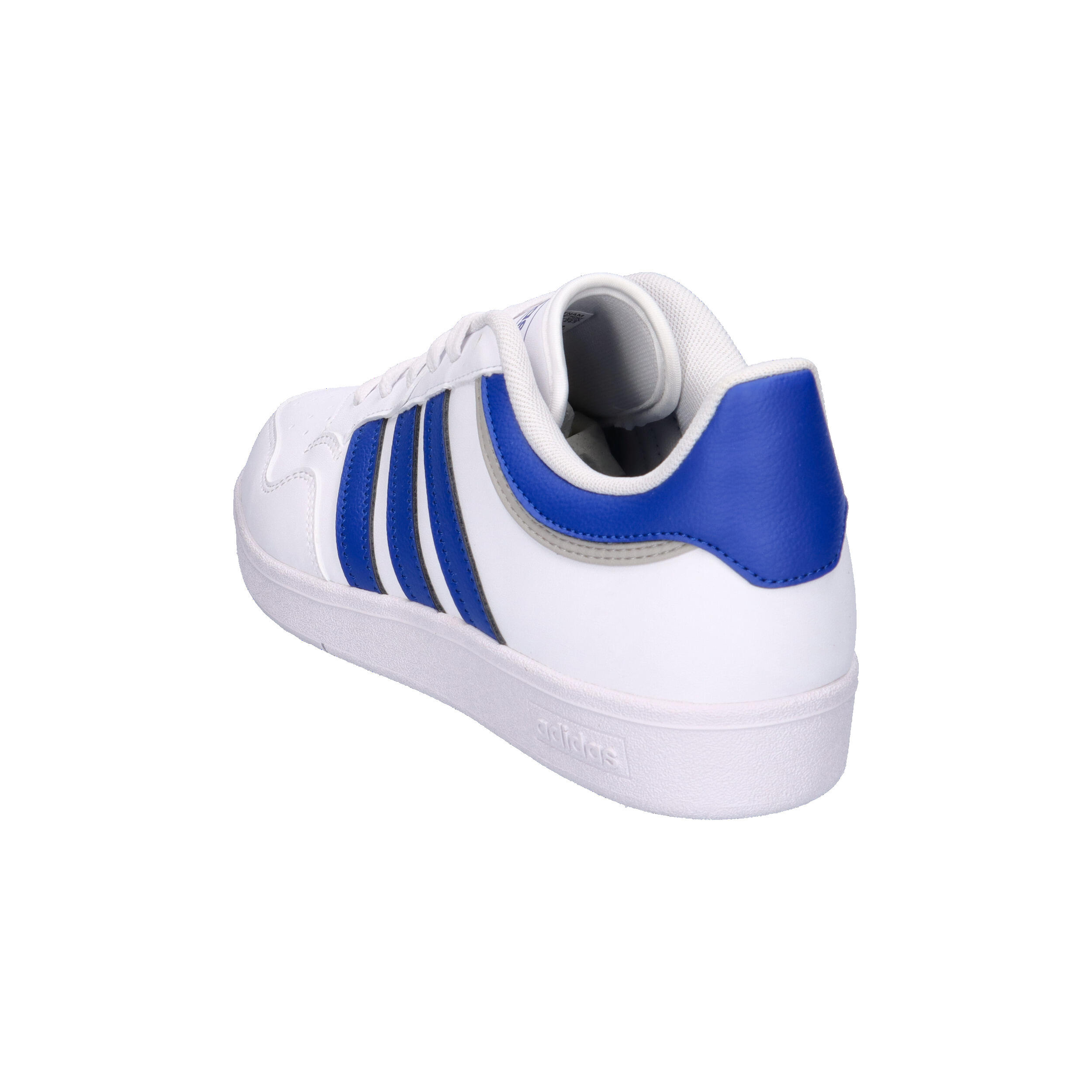 Hoops 4.0 Schoenen 12/15