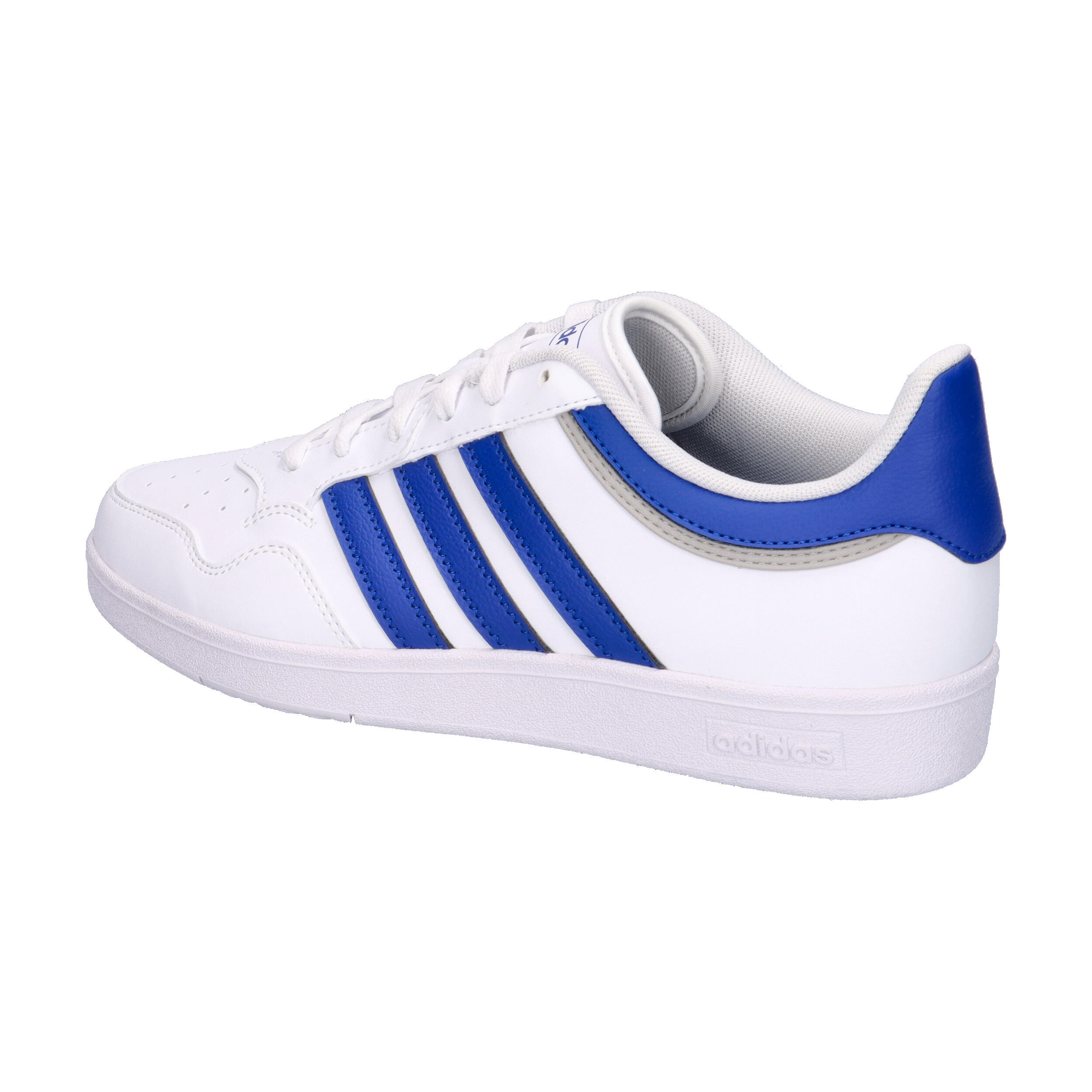 Hoops 4.0 Schoenen 11/15