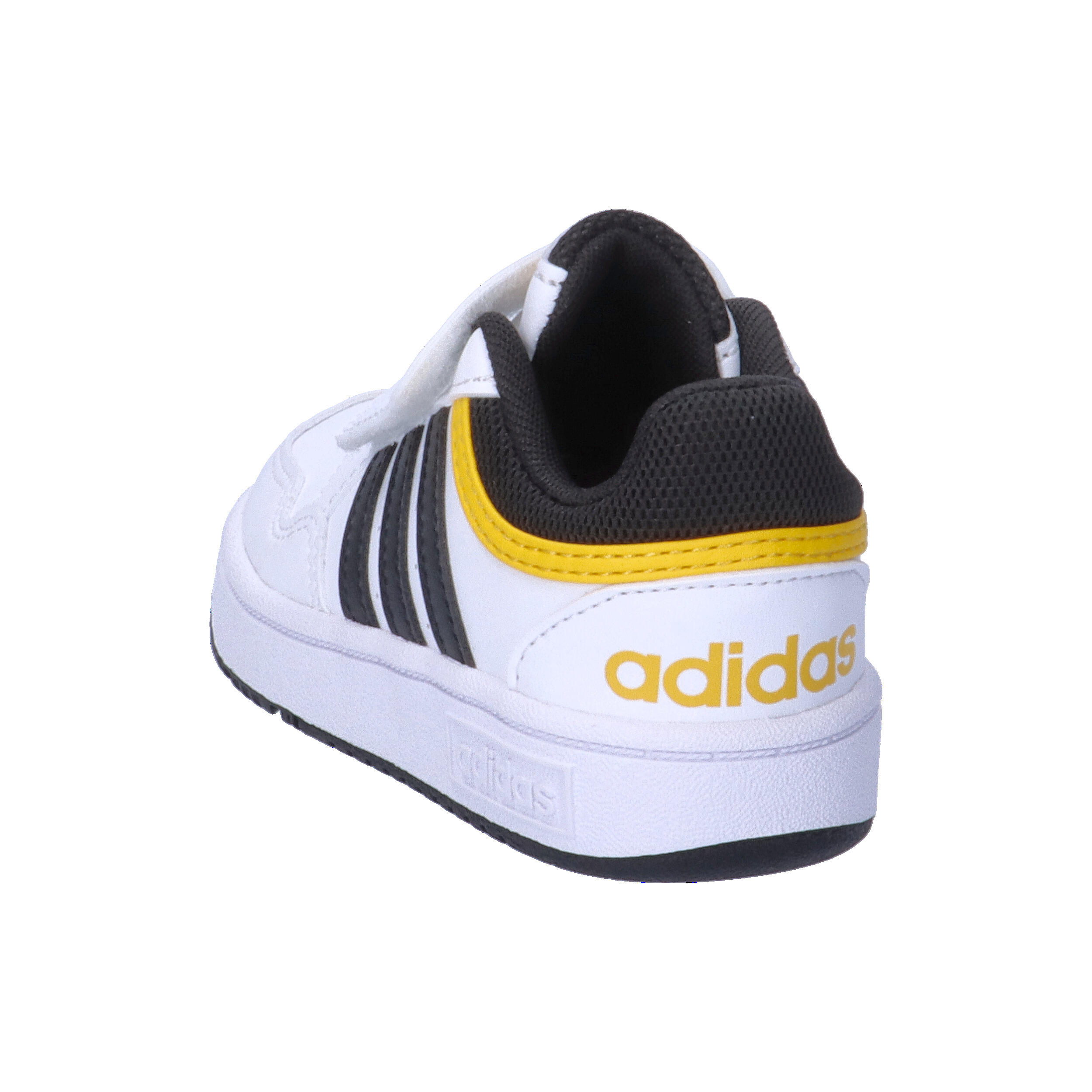 Hoops Schoenen 12/15