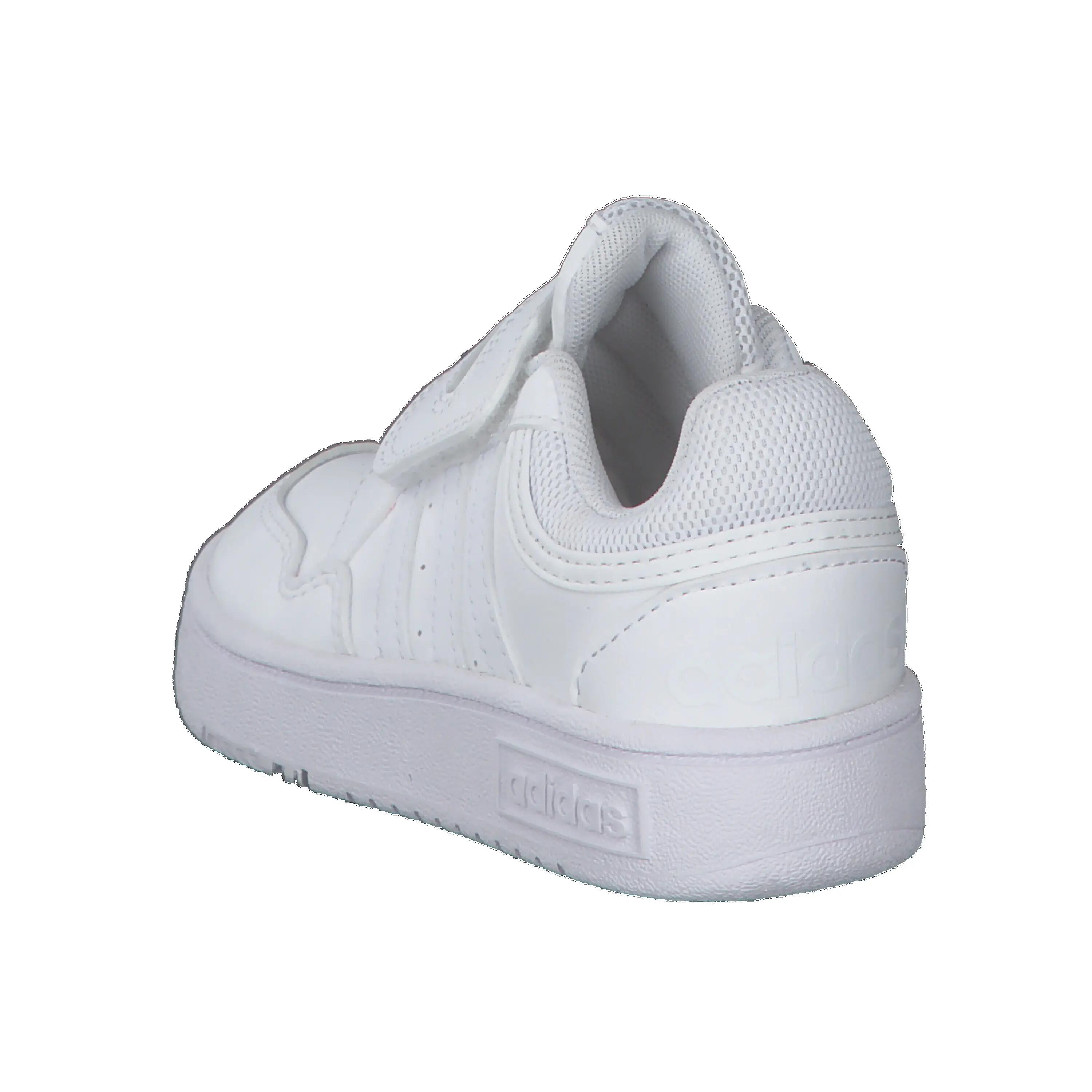 Hoops Shoes 12/15