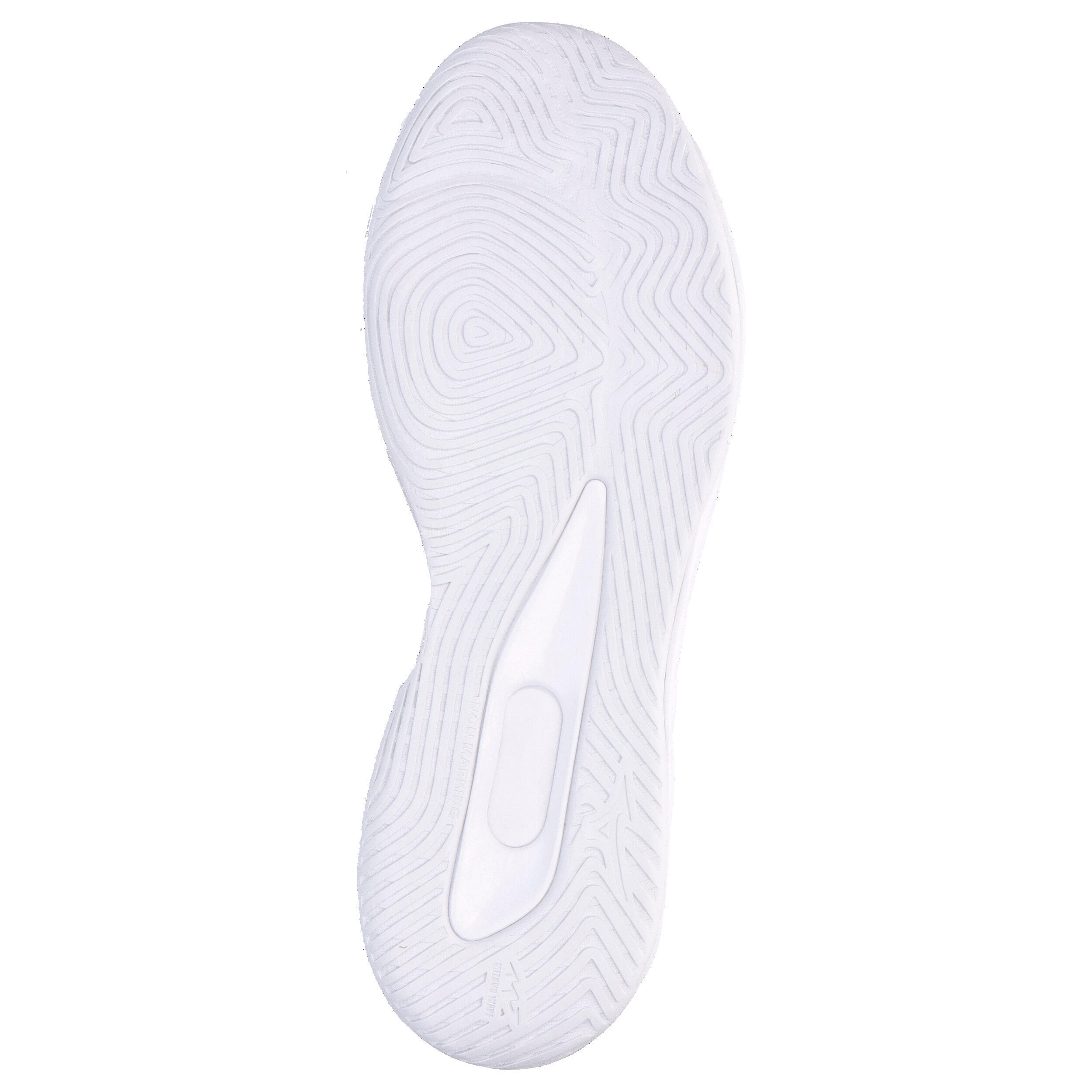 Indoor schoenen Mizuno Wave Luminous Pro 6/15
