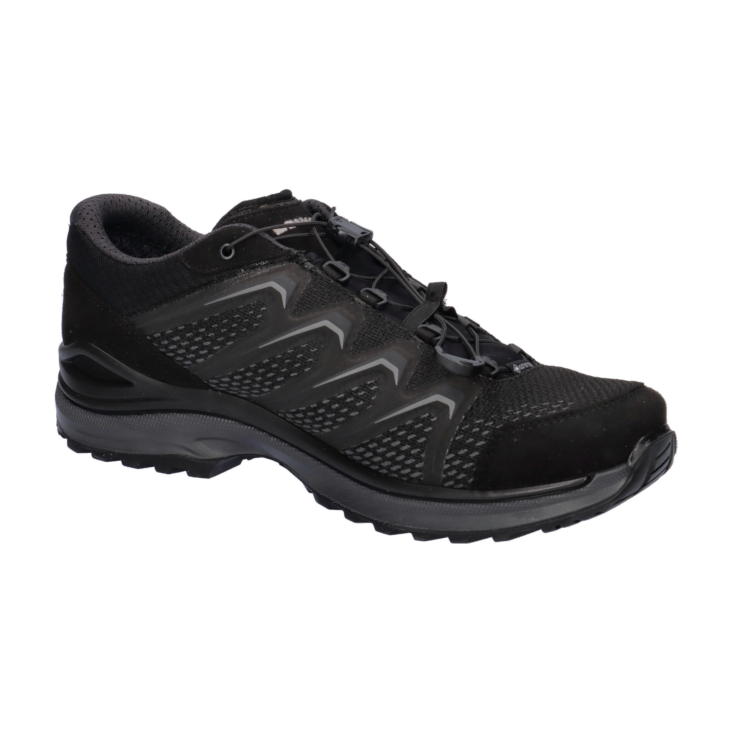 Lowa Herren Wanderschuhe Maddox GTX LO TF 310630 8/15