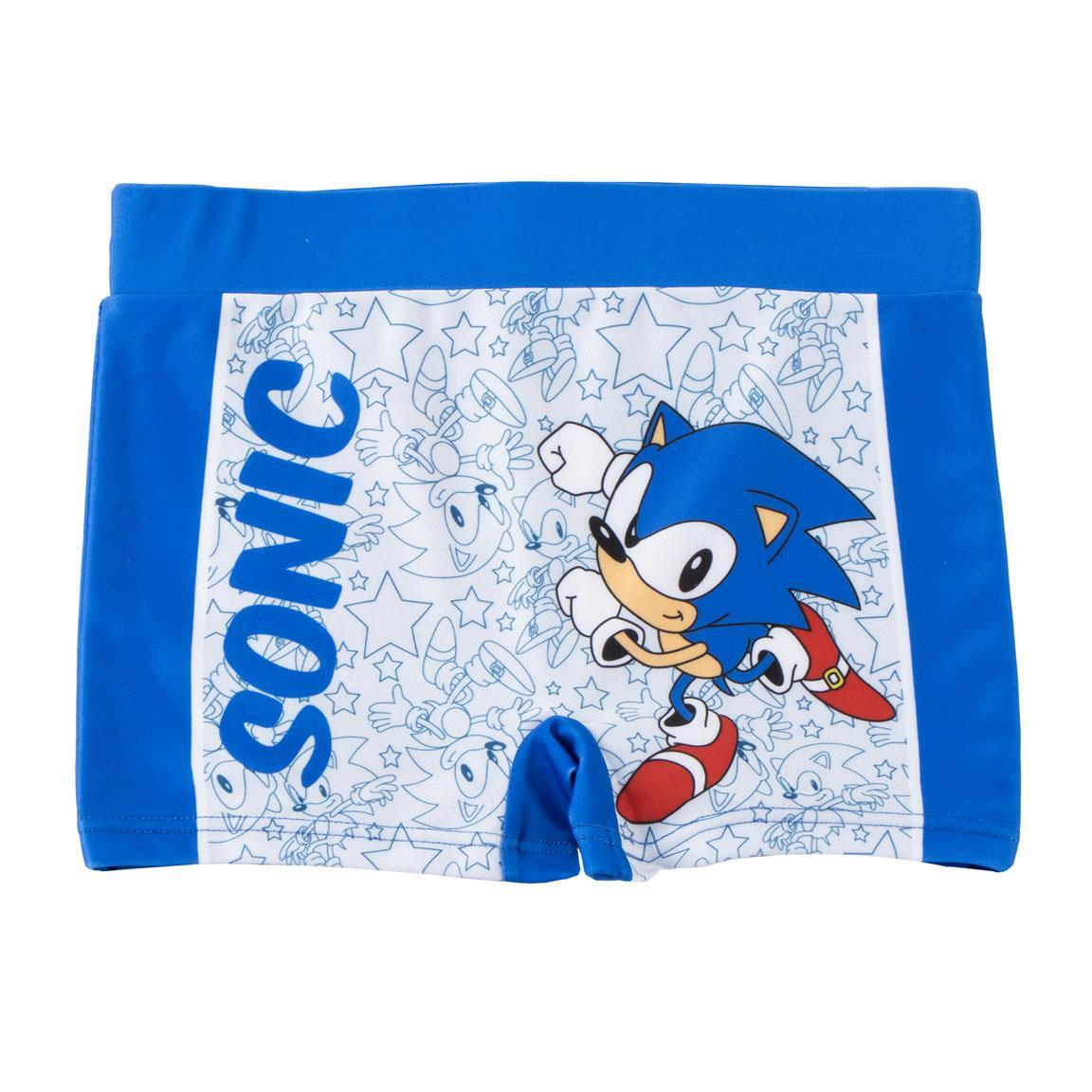 SONIC THE HEDGEHOG picture