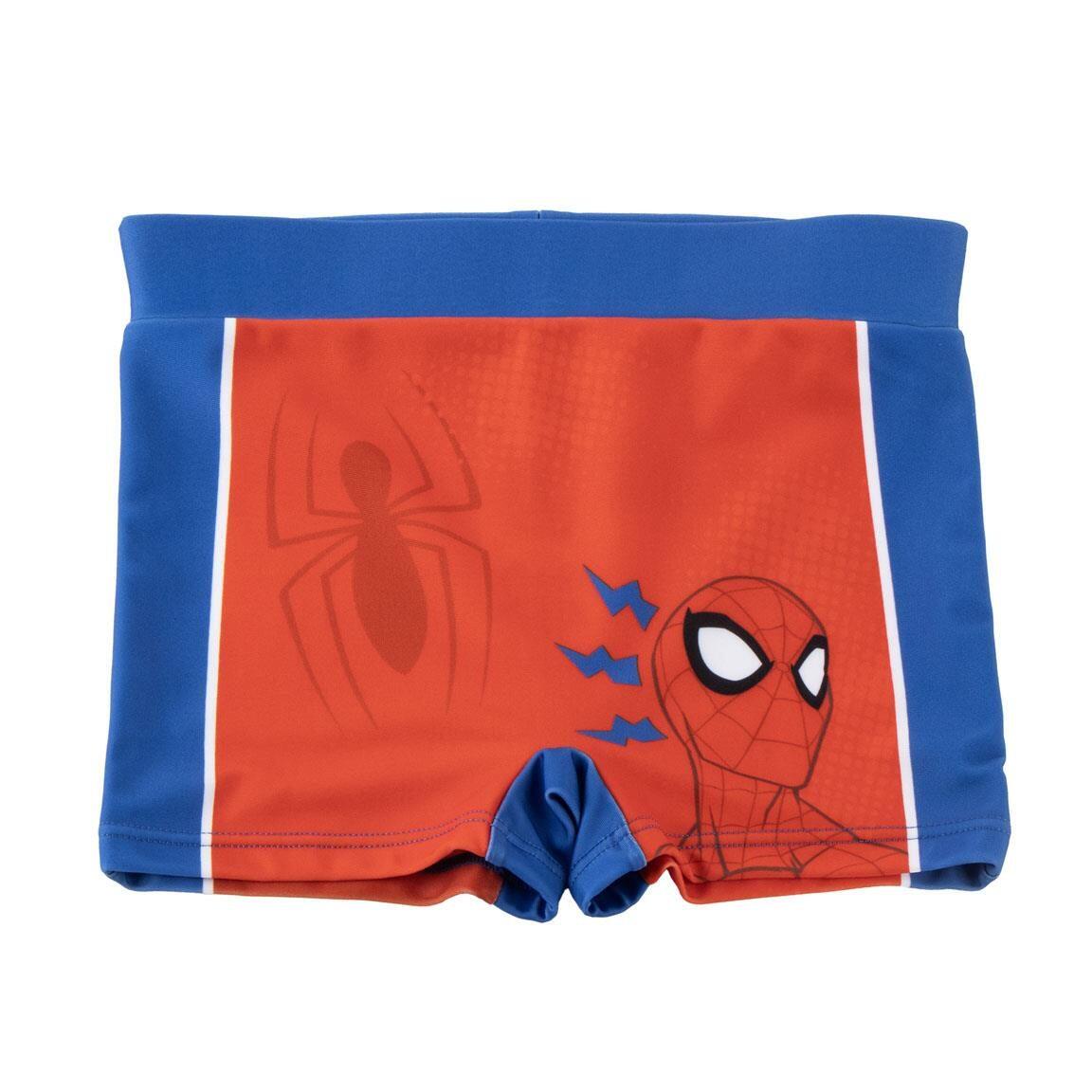 SPIDERMAN picture
