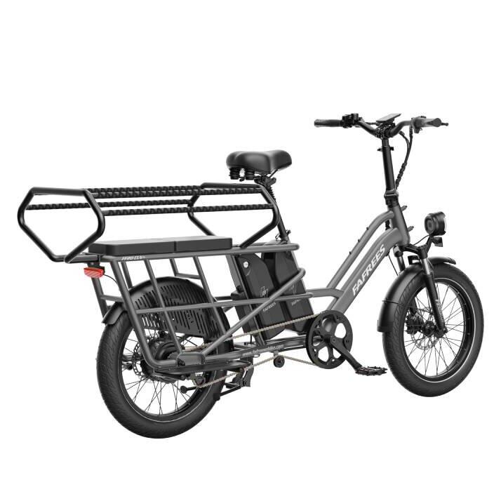 FF20 CUV Bicicletta elettrica pieghevole 48V 15Ah 720Wh×2, pneumatico 20" 6/7