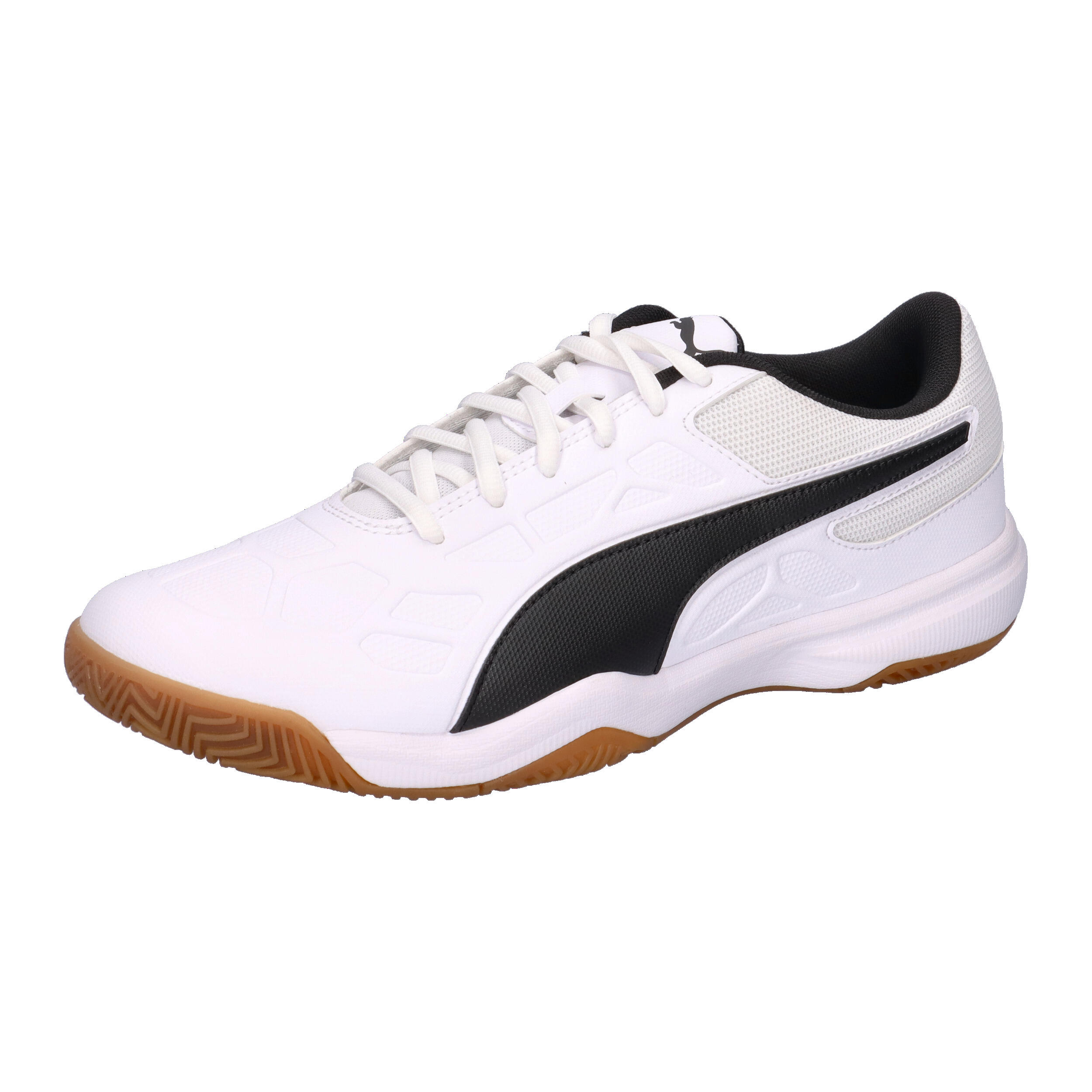 PUMA picture