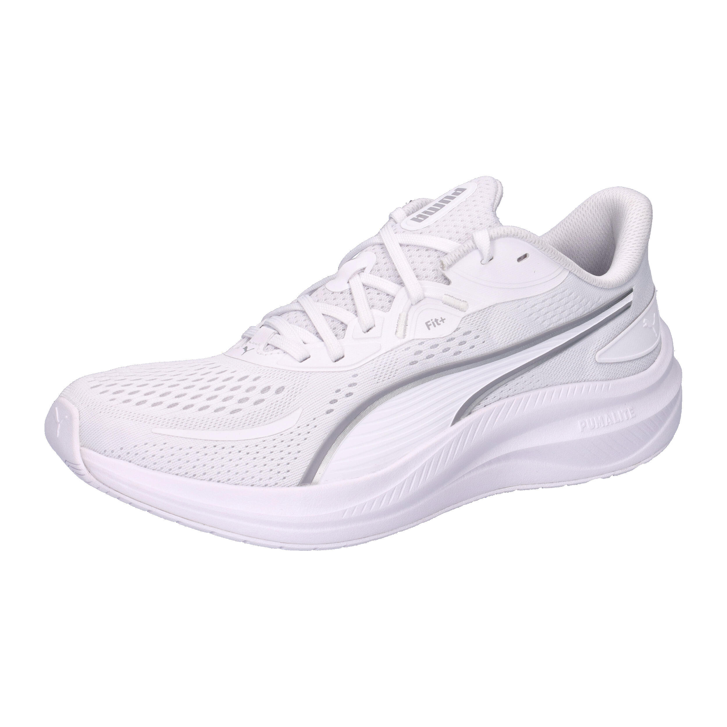 PUMA picture