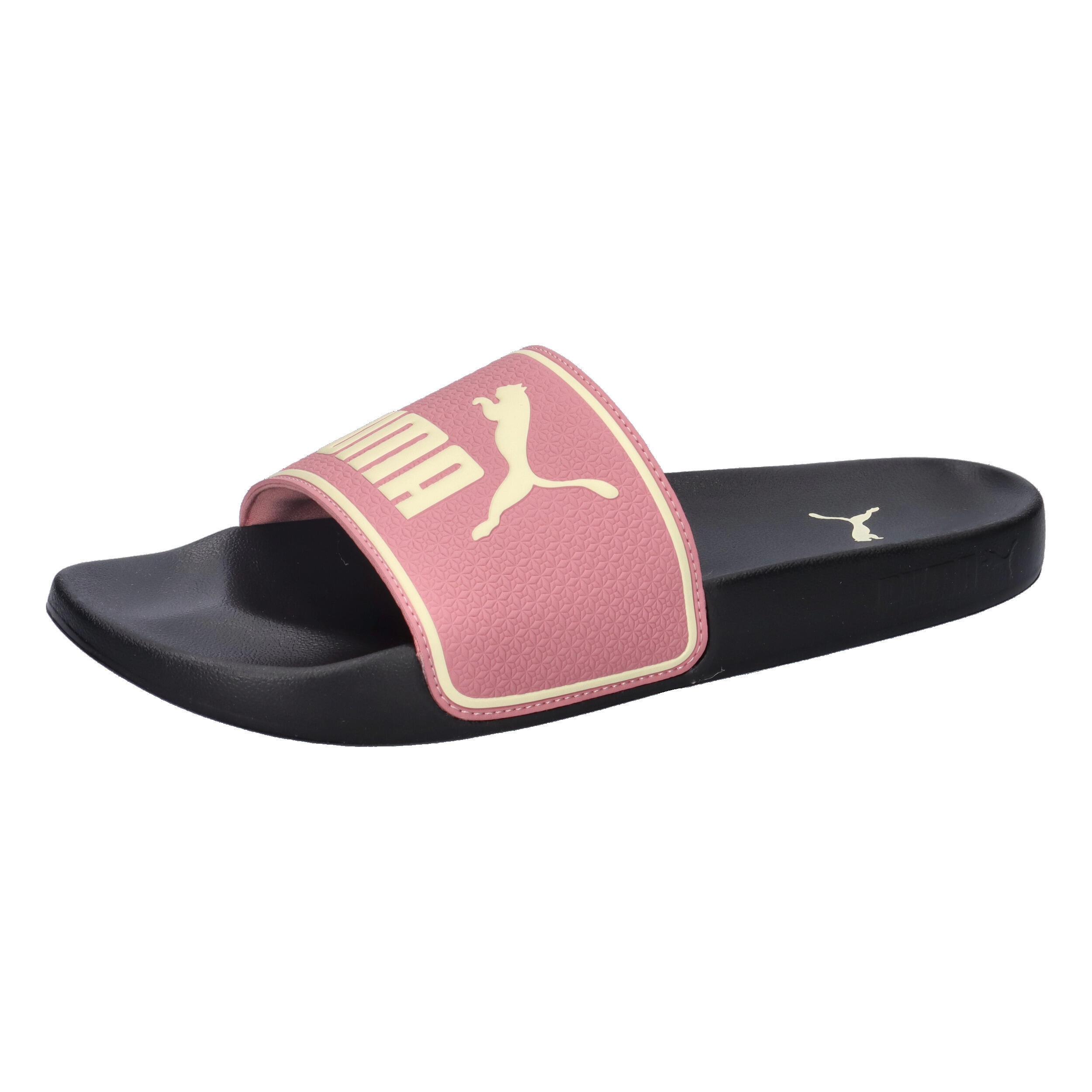 PUMA picture