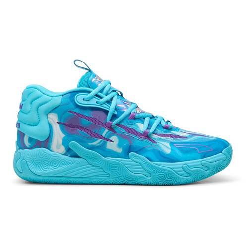 PUMA picture
