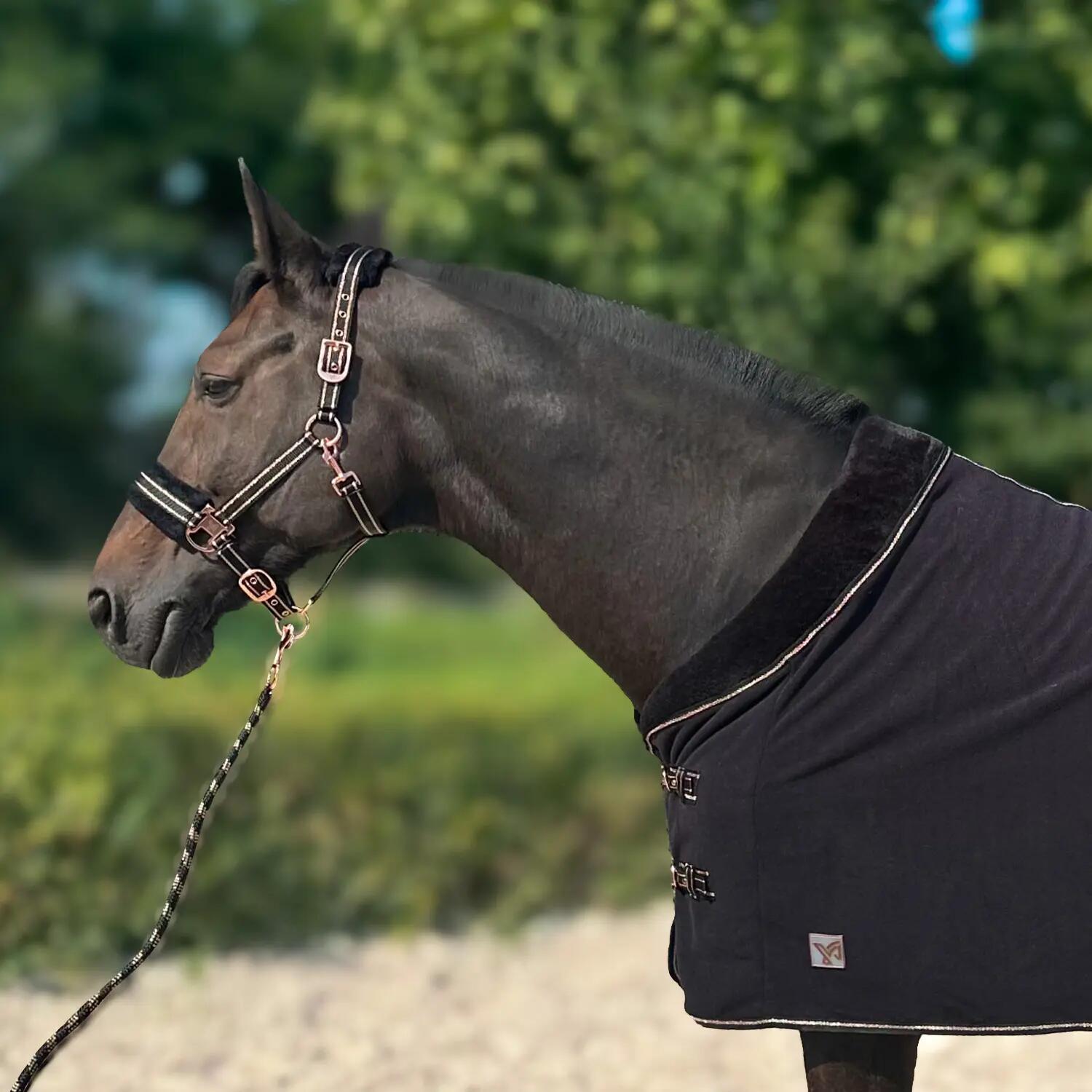 Coperta da paddock per cavalli York Gold Star 2/2