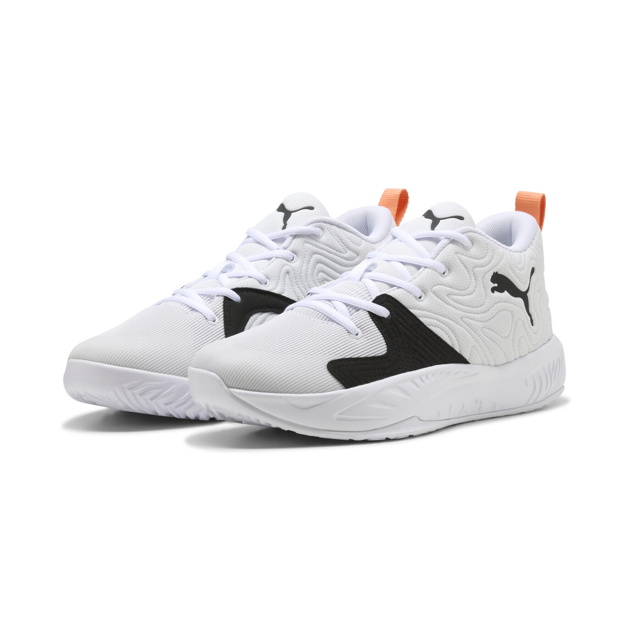 PUMA picture