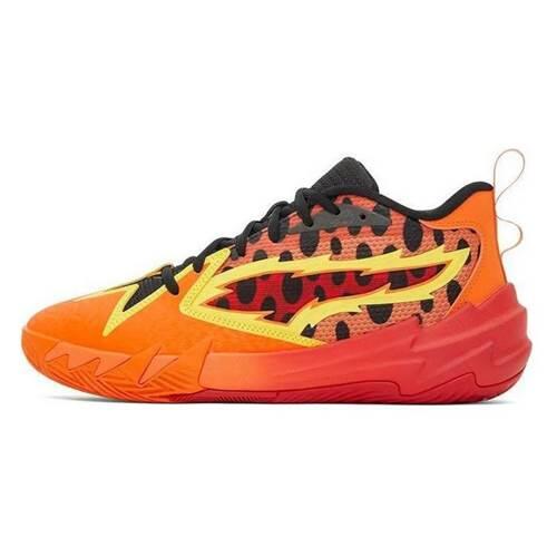 PUMA picture