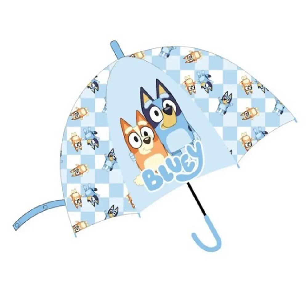 BLUEY picture
