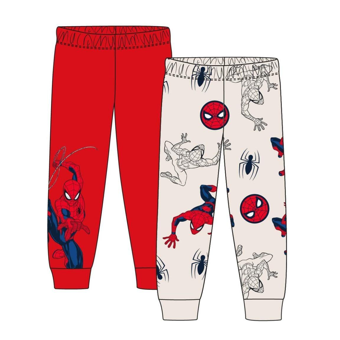 SPIDERMAN picture